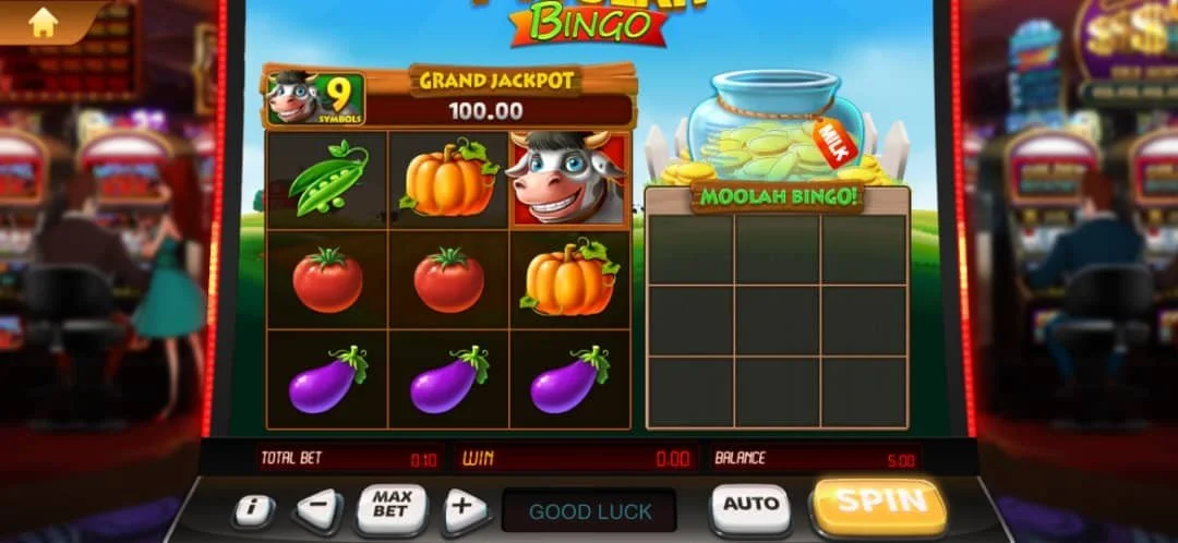 Juwa 2.0 Moolah Bingo  - Slot Game 