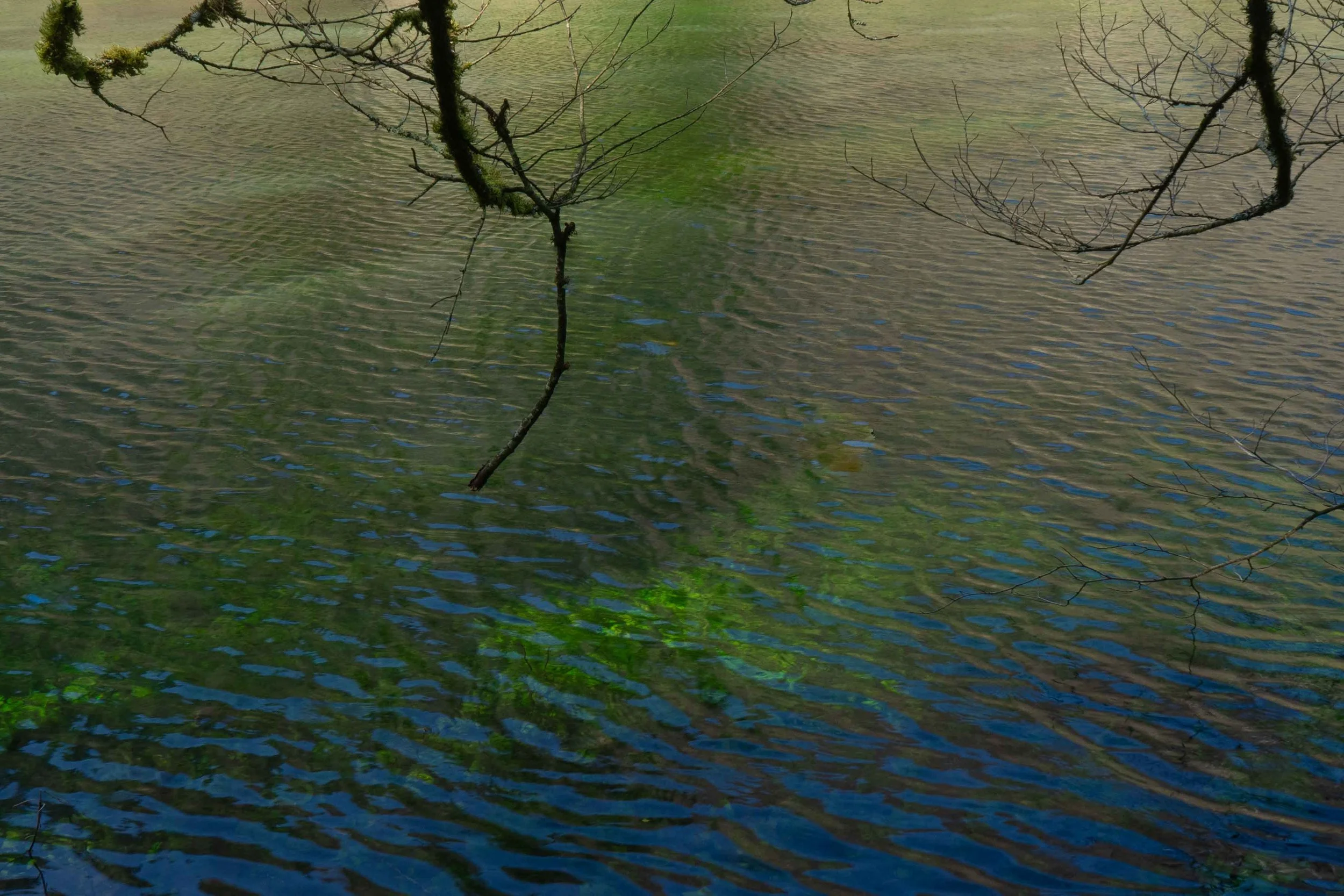 Make Room for Growth