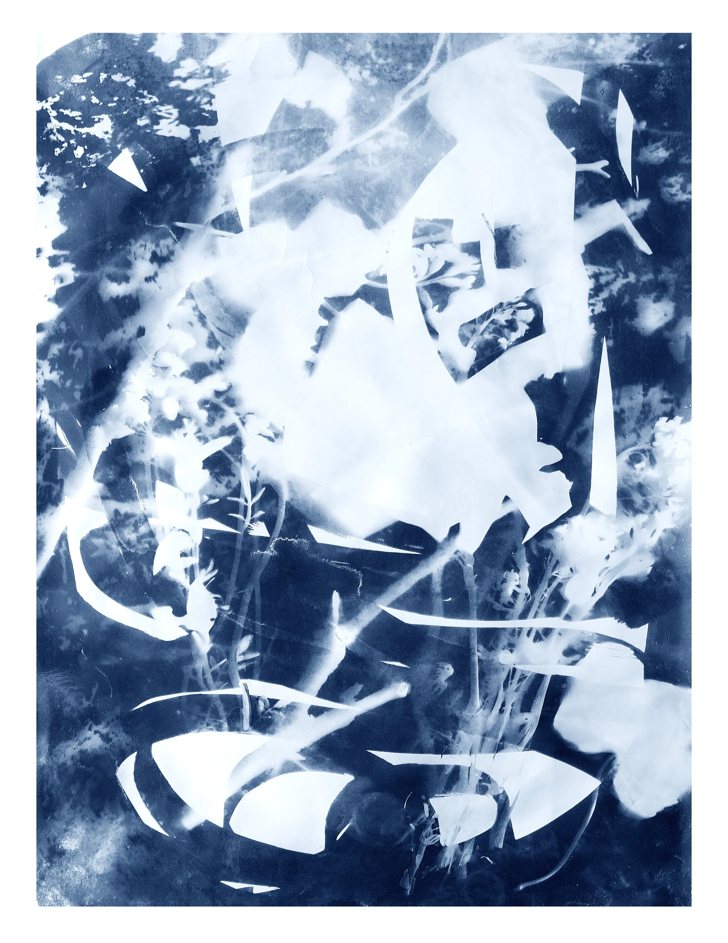 RECOVERED CYANOTYPE 6, 2026, LIMITED EDITION ART PRINT (Copy)