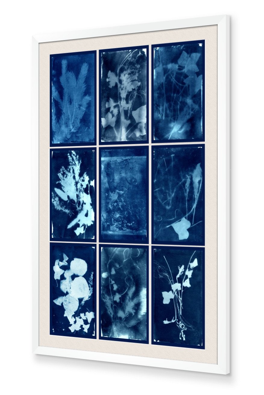 Gallery View French Dispatch, Typology of 9 Cyanotypes on Watercolor paper, 24''x37''