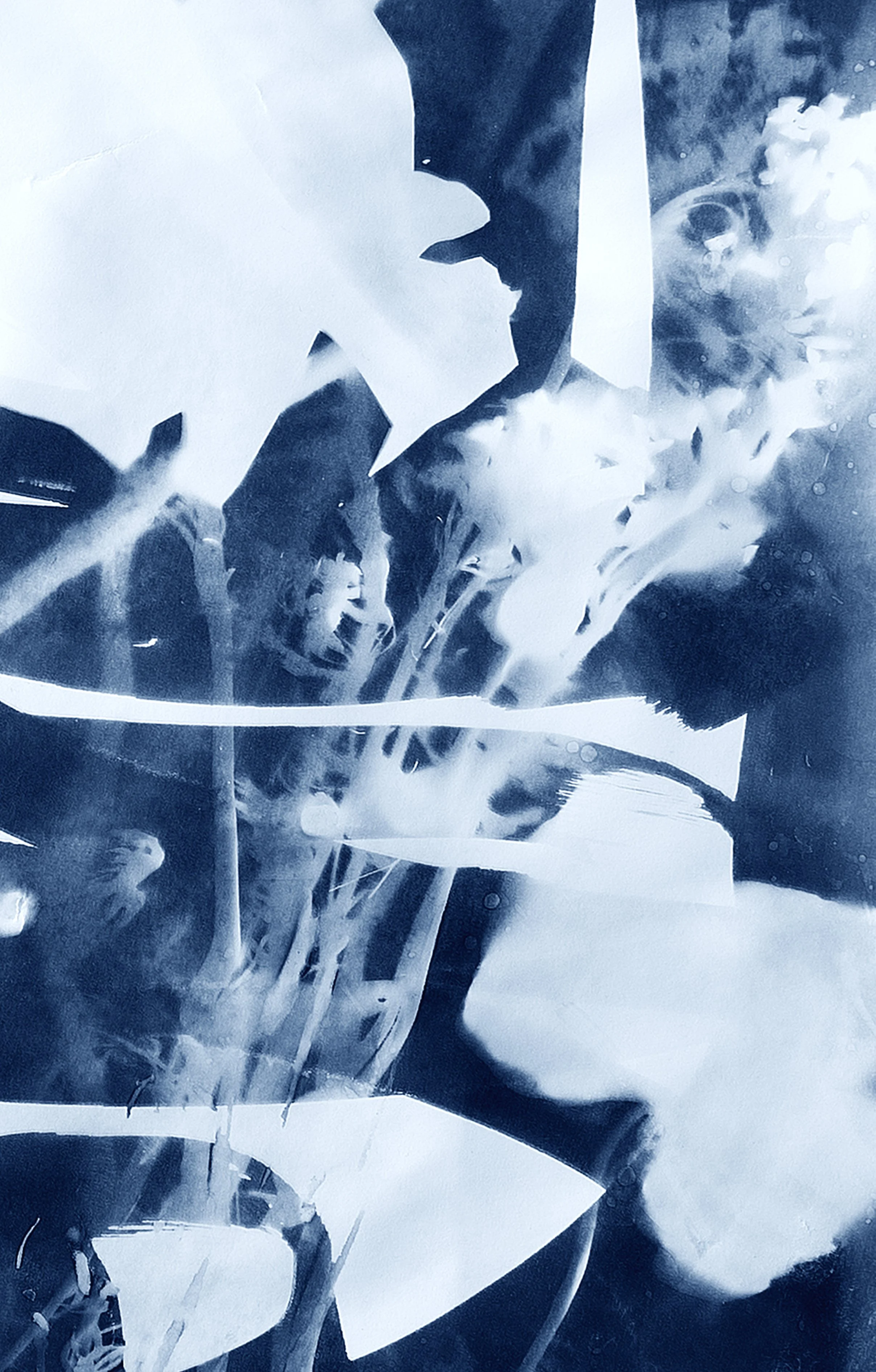 6cyanotype_detail_1.jpg