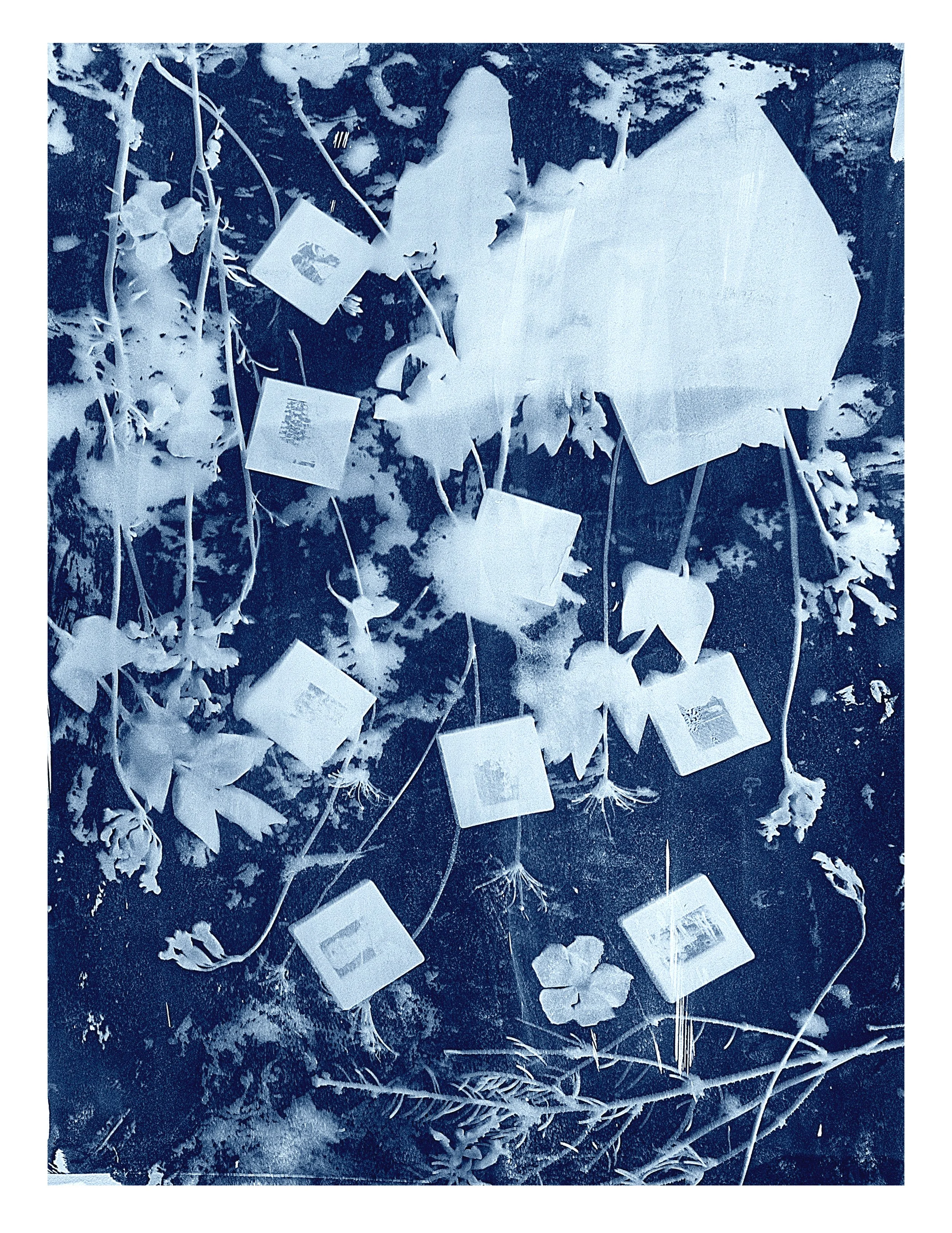 RECOVERED CYANOTYPE 1, 2026, LIMITED EDITION ART PRINT