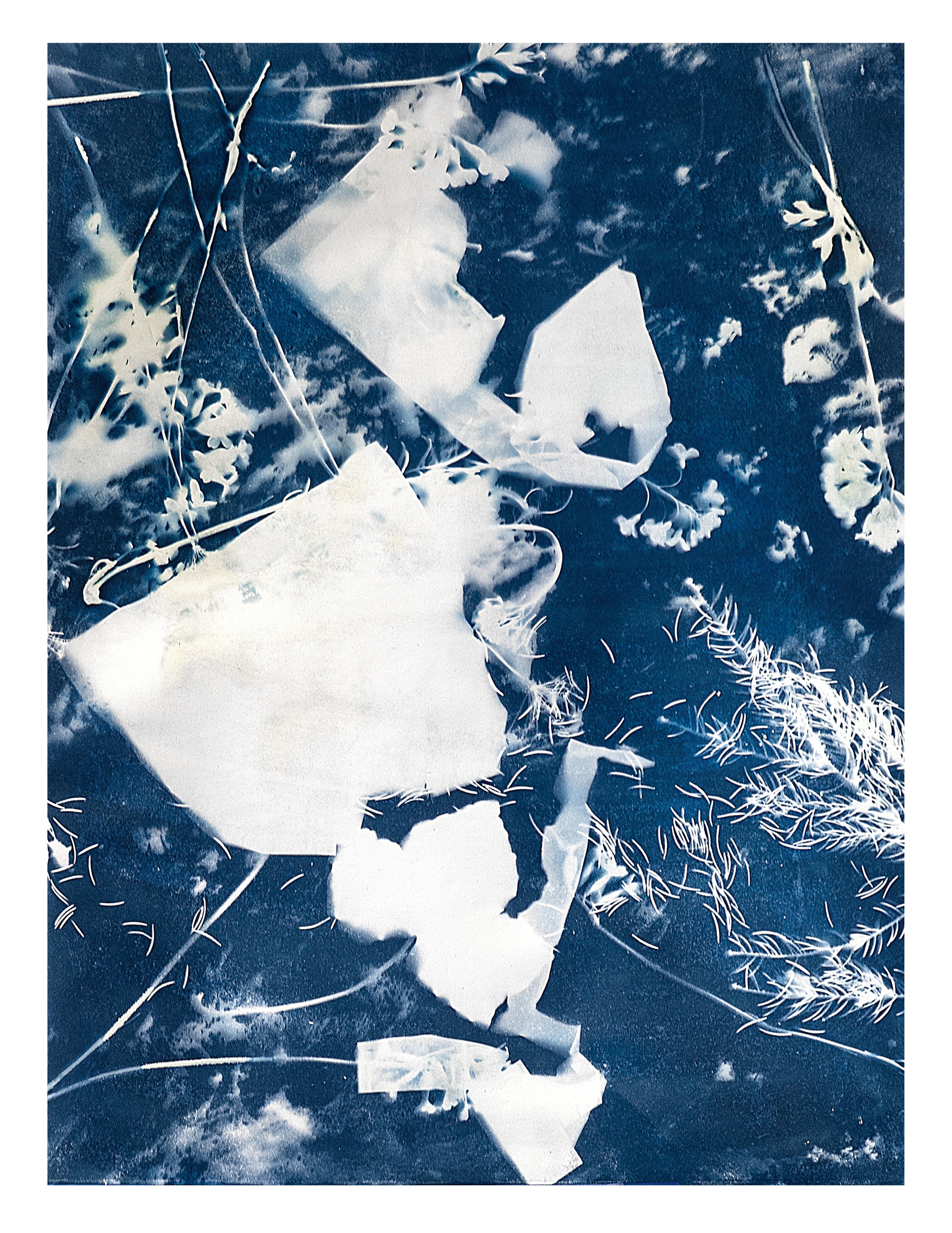 5 Documentation of "There Will Be Flowers[...]", archival pigment print, 18''x24''