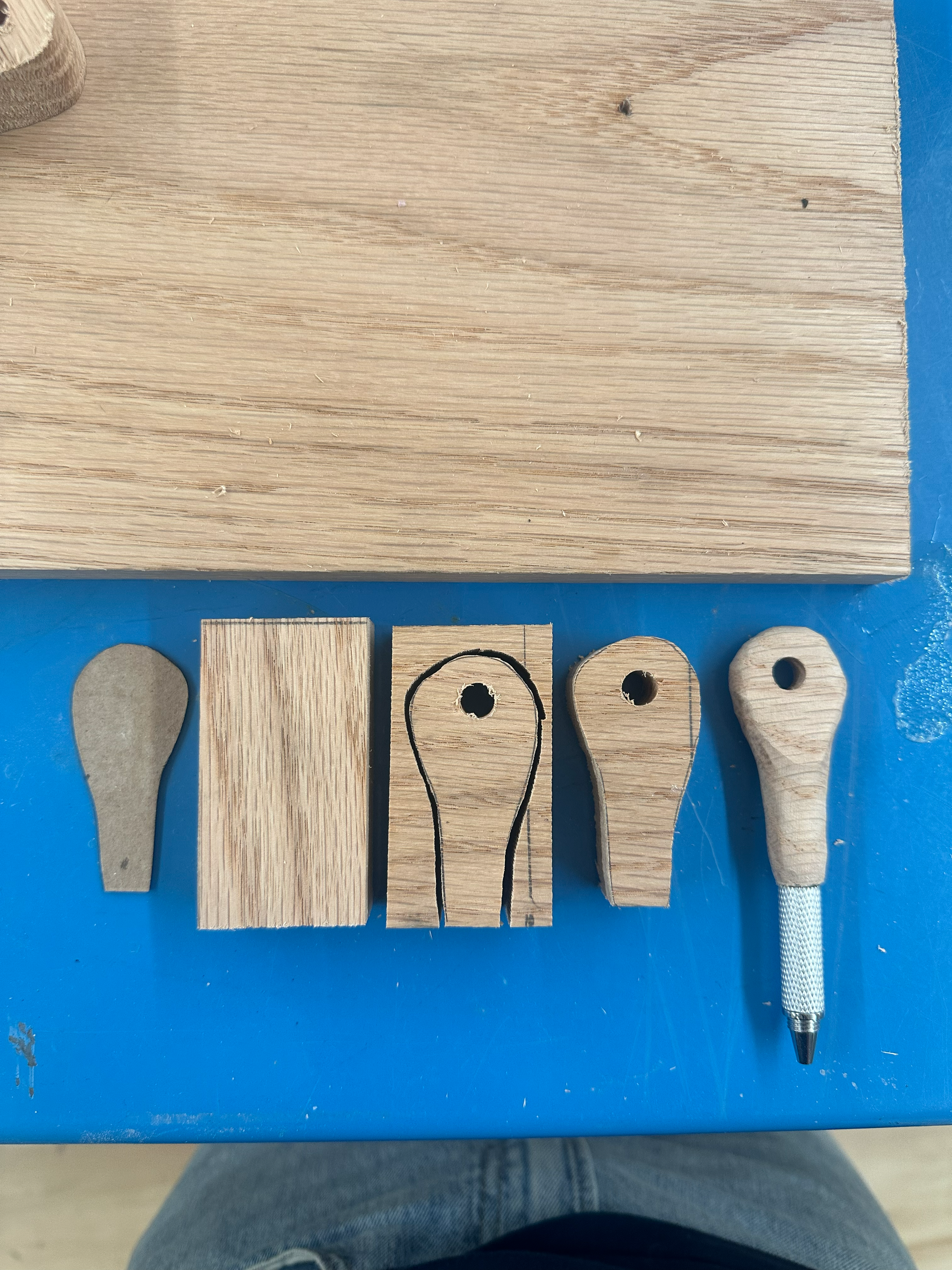 Evolution of the form