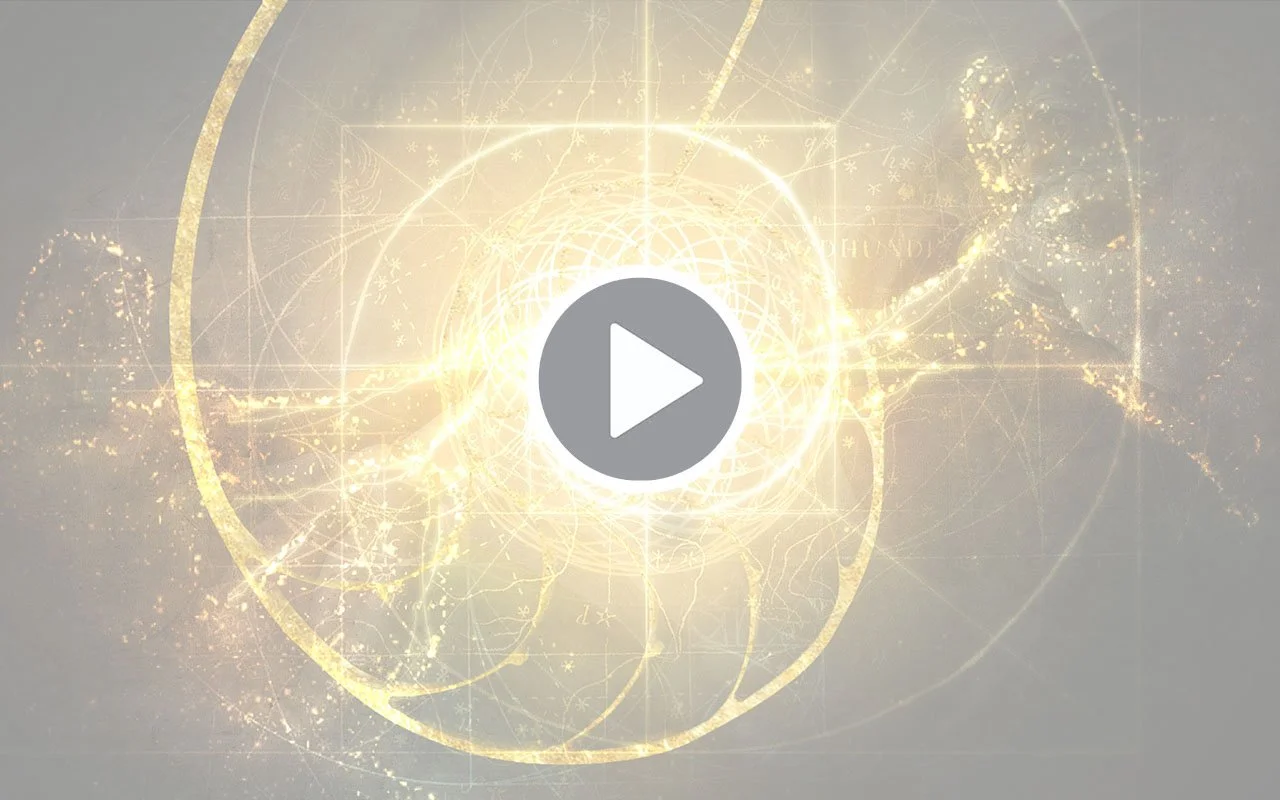 Freelance Reel — Client Work