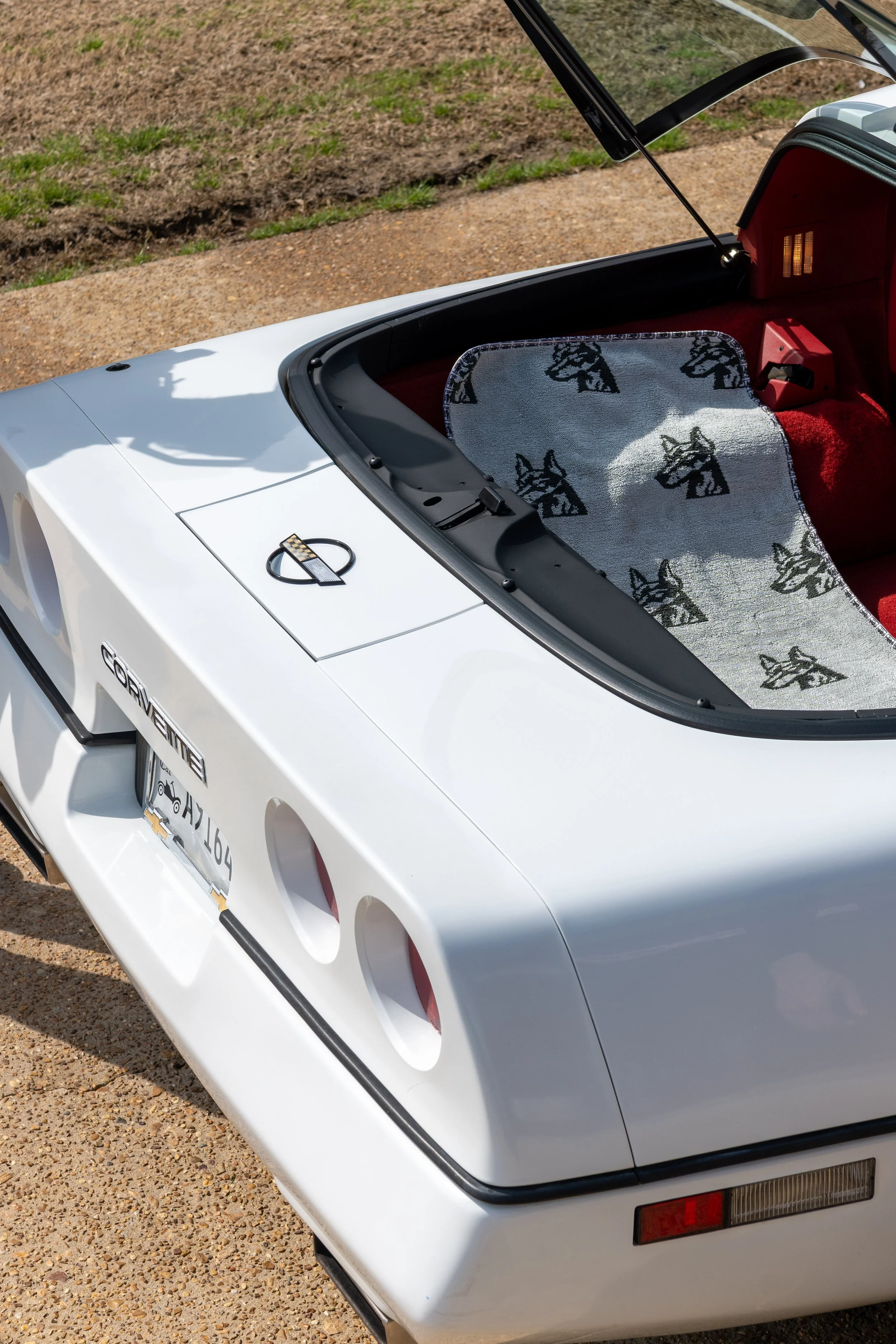 Close-up of the rear of a white Chevrolet Corvette with a black interior, showing a custom headliner with a horse design, parked on a dirt surface.
