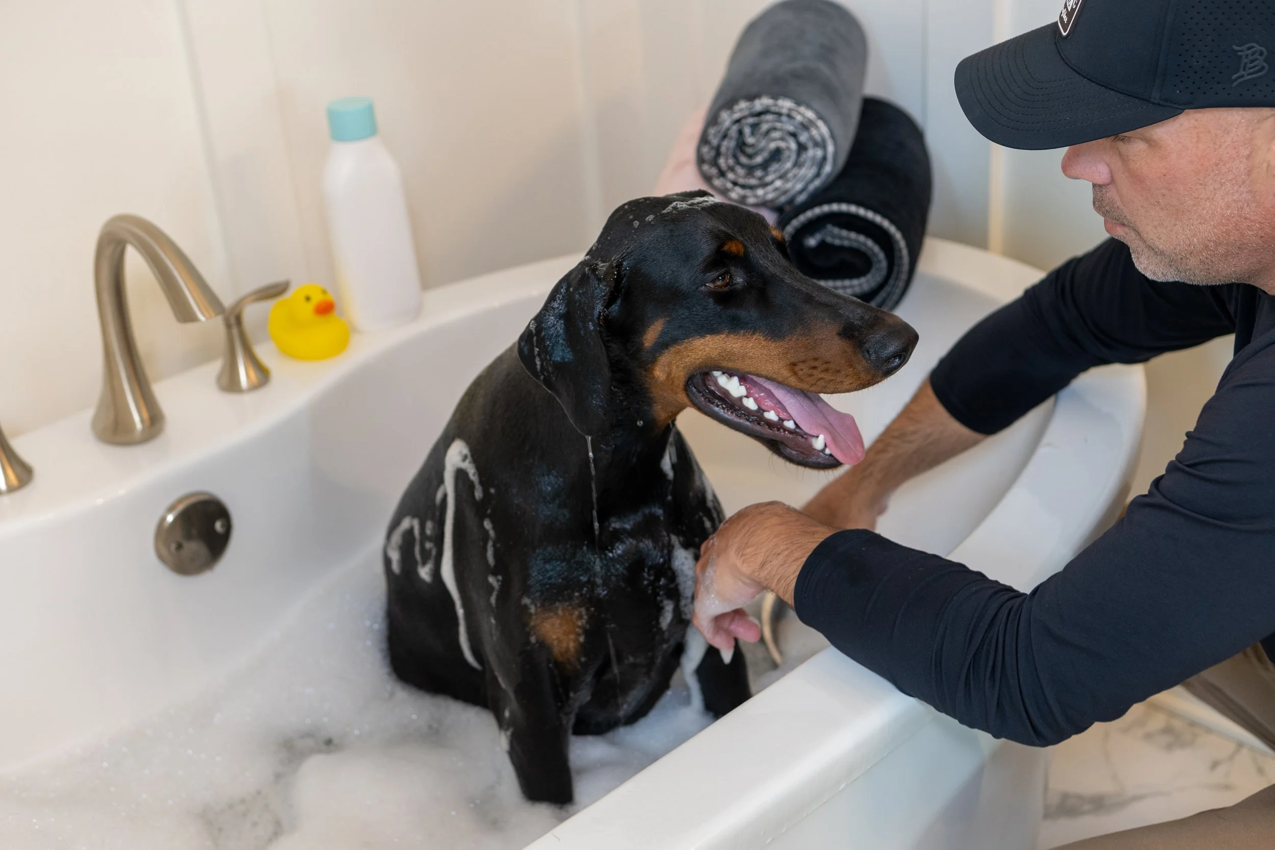 A man giving a bath to a black and brown dog in a white bathtub with soap suds, a yellow rubber duck, a white bottle, and two rolled-up towels in the background.