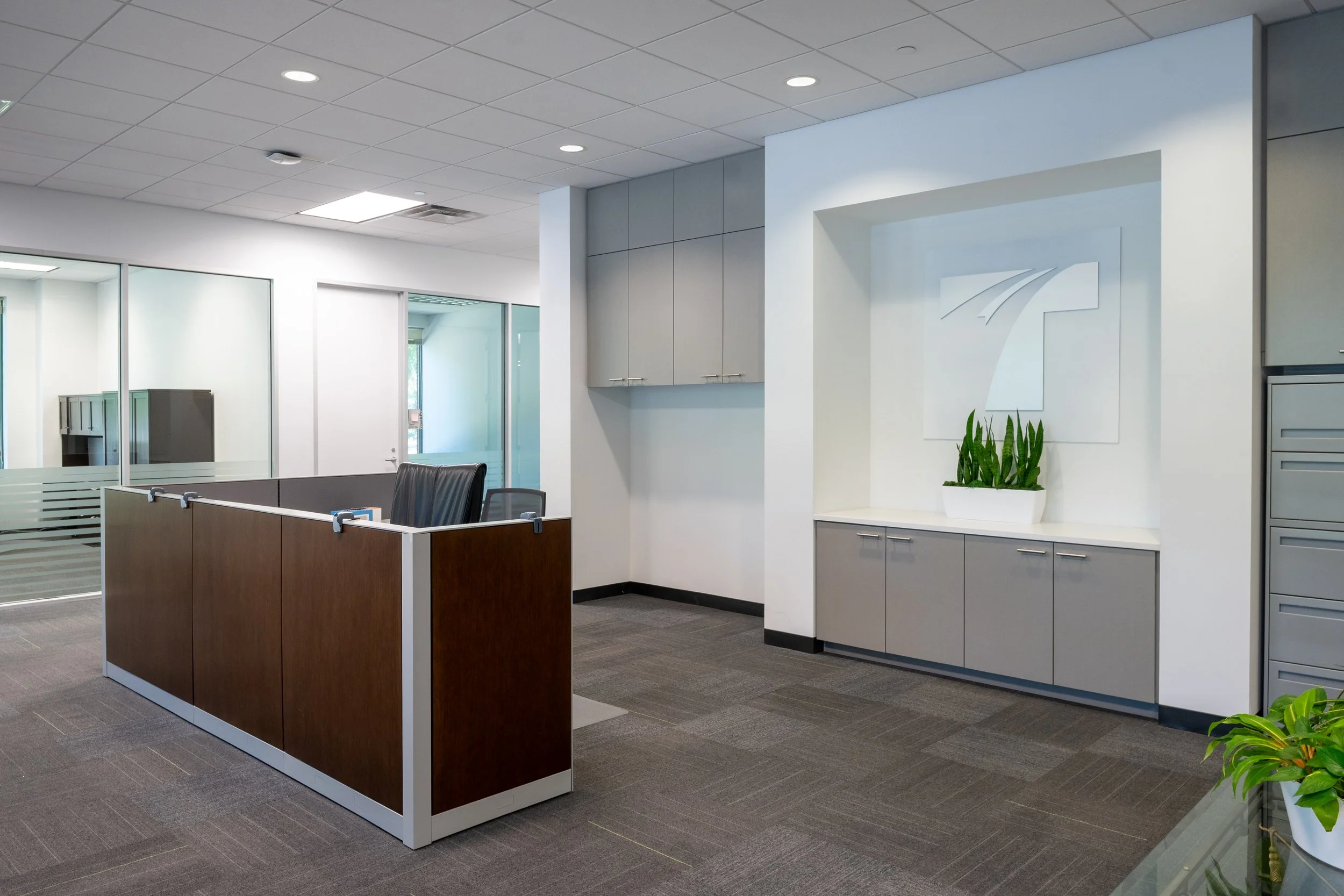 Office reception area with a dark wood reception desk, gray cabinets on the wall, a white decorative panel with a logo, and green plants, with glass partitions and ceiling lights.
