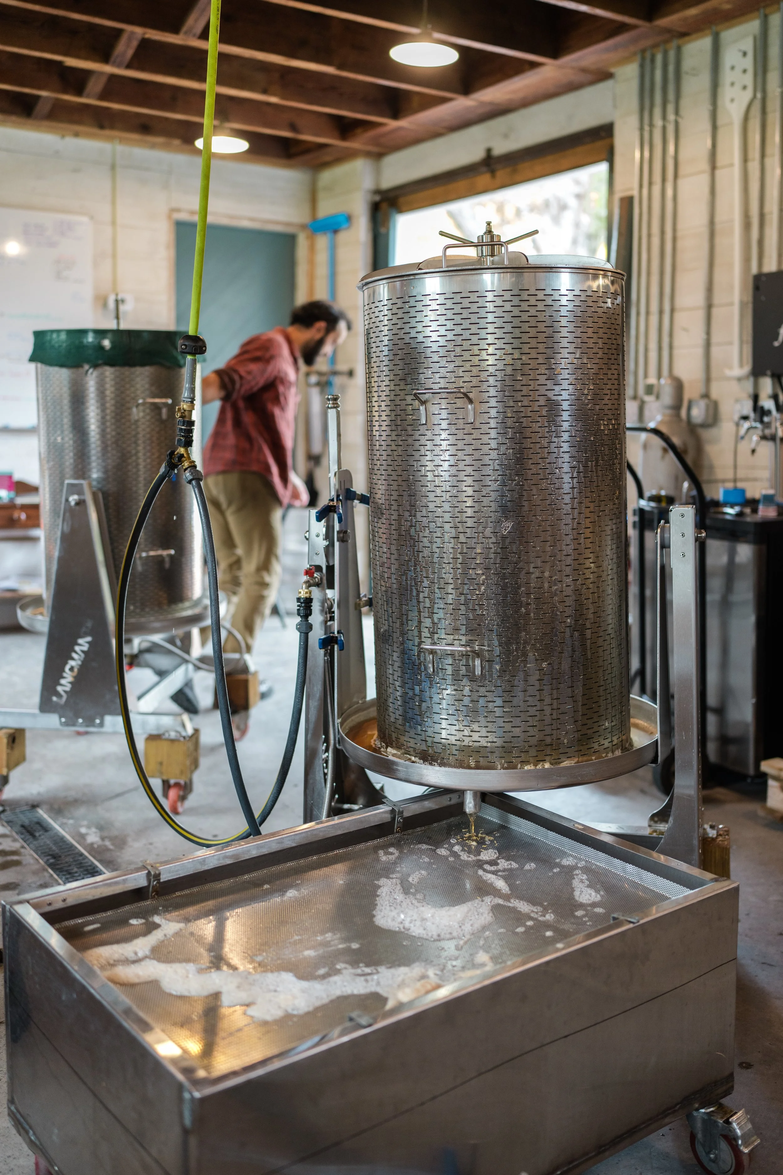 troddenvale-kthompson-fall23-127 (1).jpg