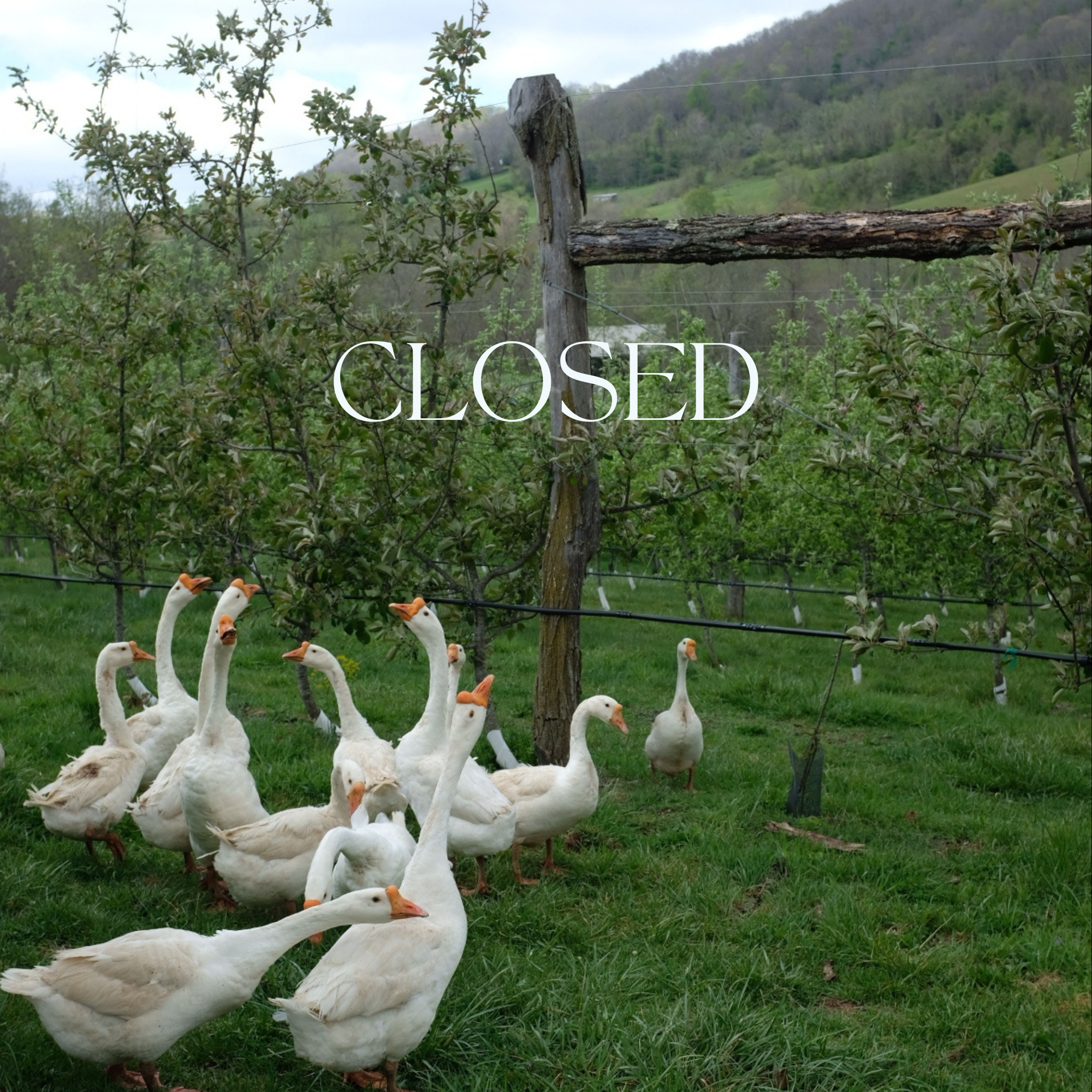 Closed for Private Event