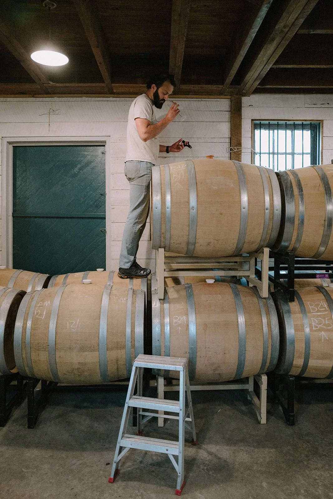 troddenvale-150 (1).jpg