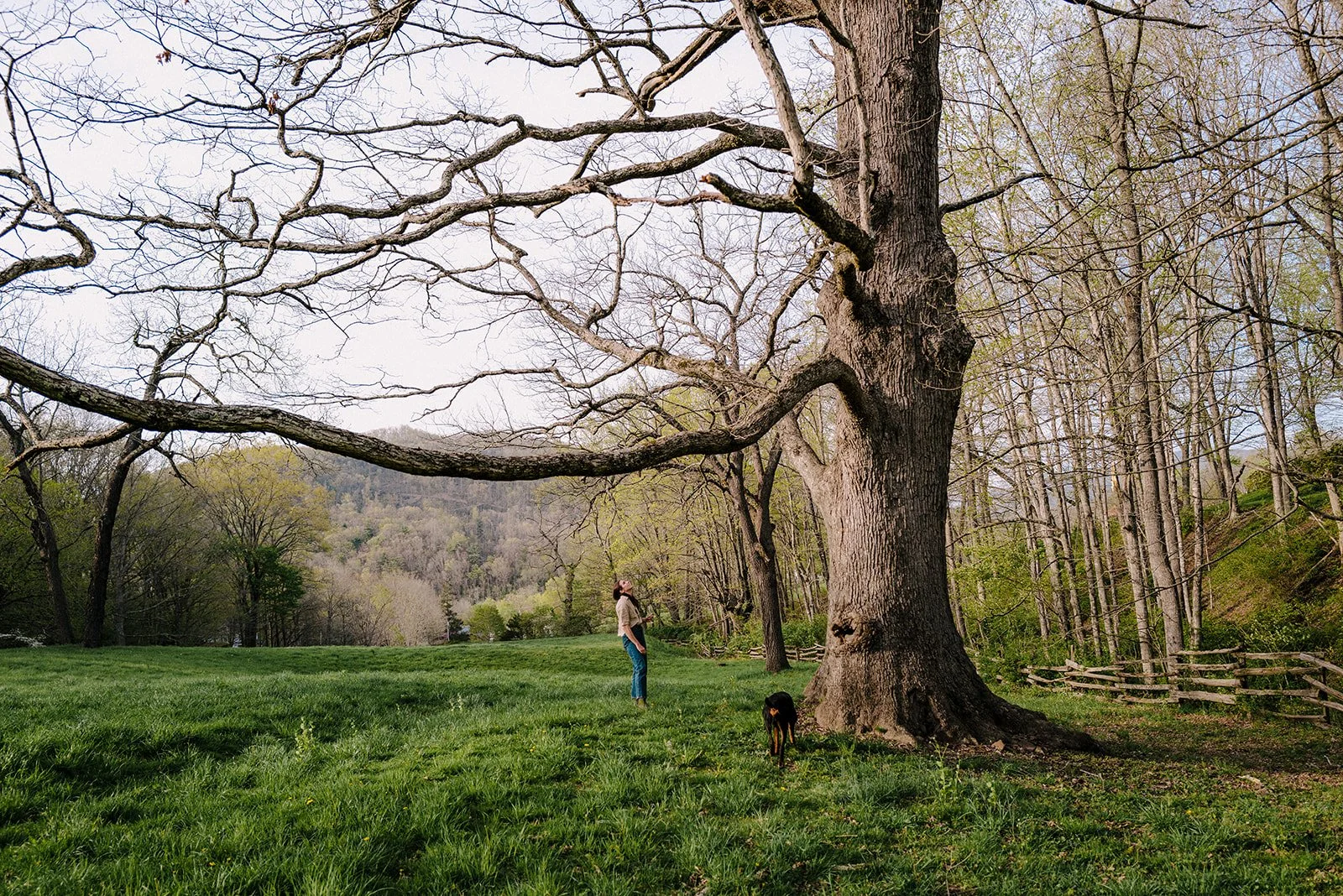 troddenvale-91 (1).jpg