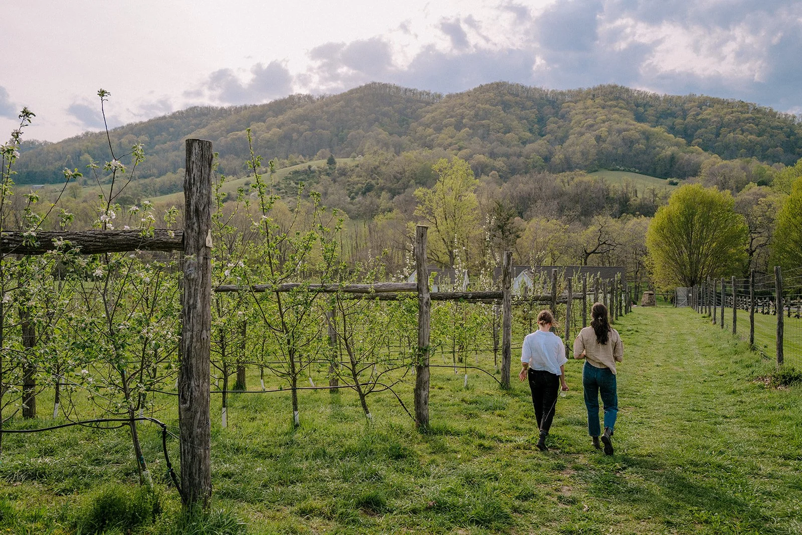 troddenvale-73 (1).jpg