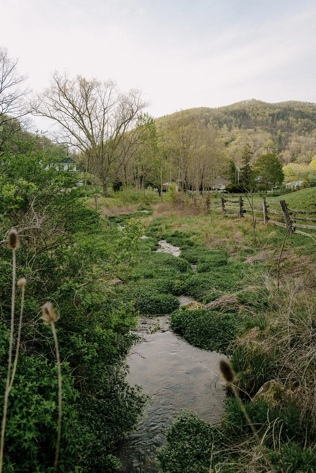 troddenvale-103 (1).jpg