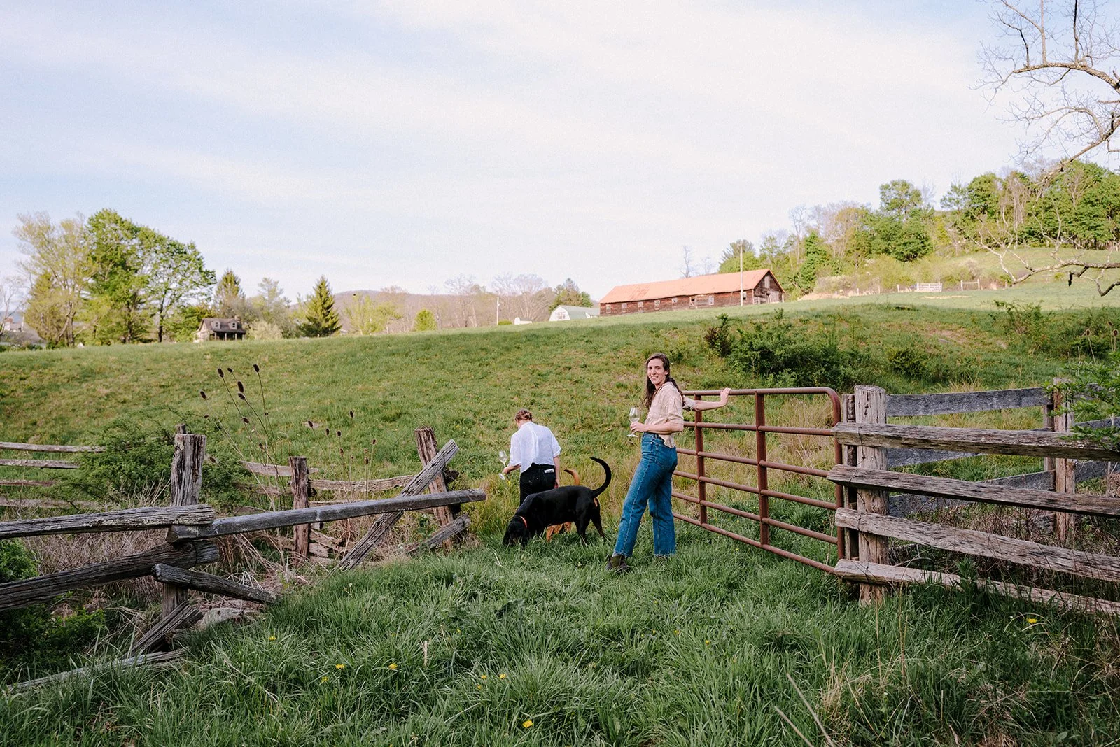 troddenvale-102 (1).jpg