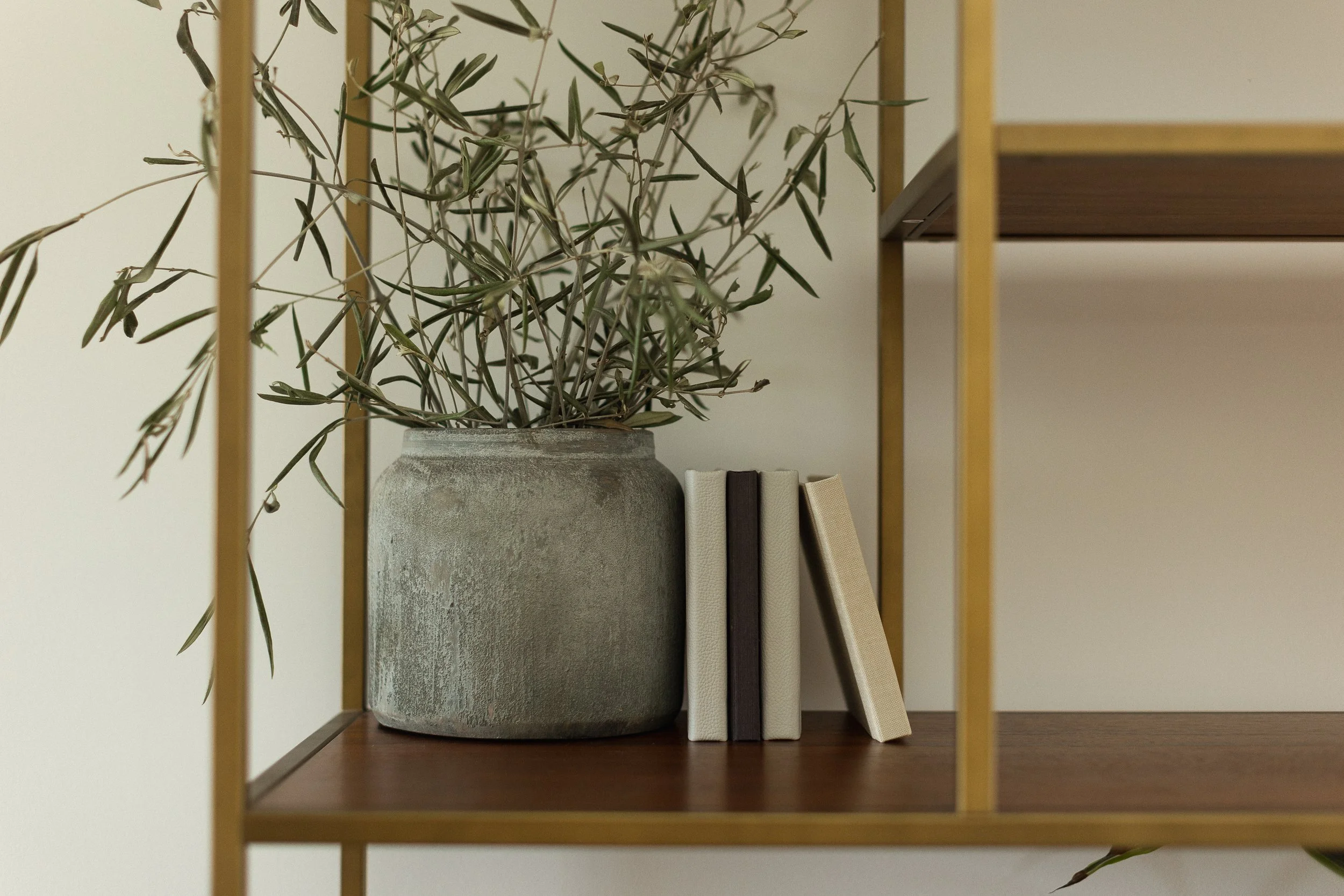 A decorative shelf holding a potted plant with slender, elongated leaves and a small row of books with neutral-colored covers.