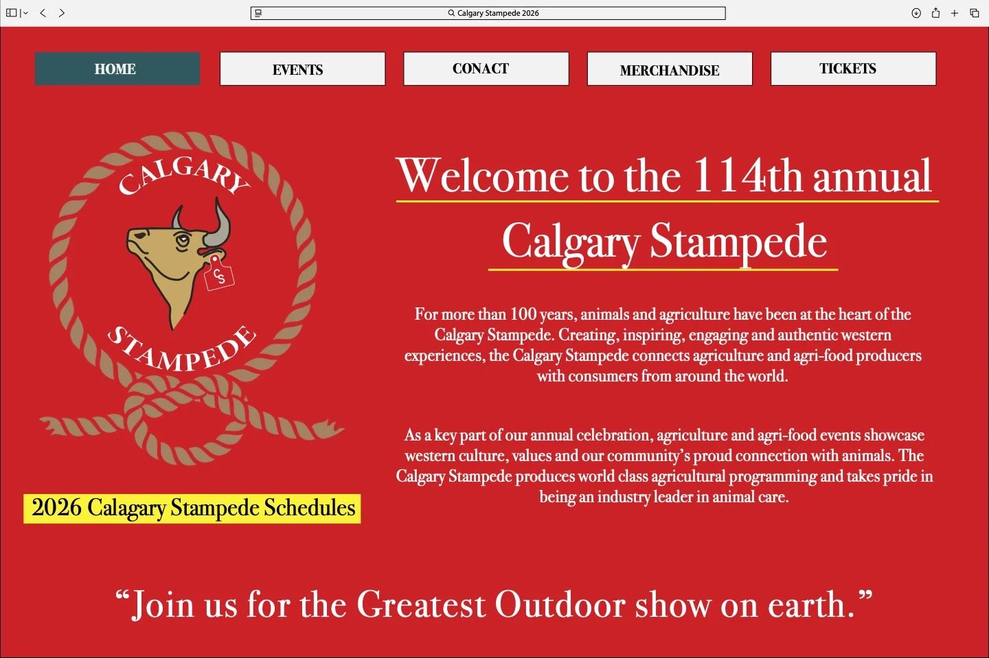 FESTIVAL WEBSITE MOCKUPS copy.jpg