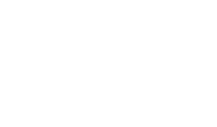 Empty white space or blank background with no distinguishable objects.