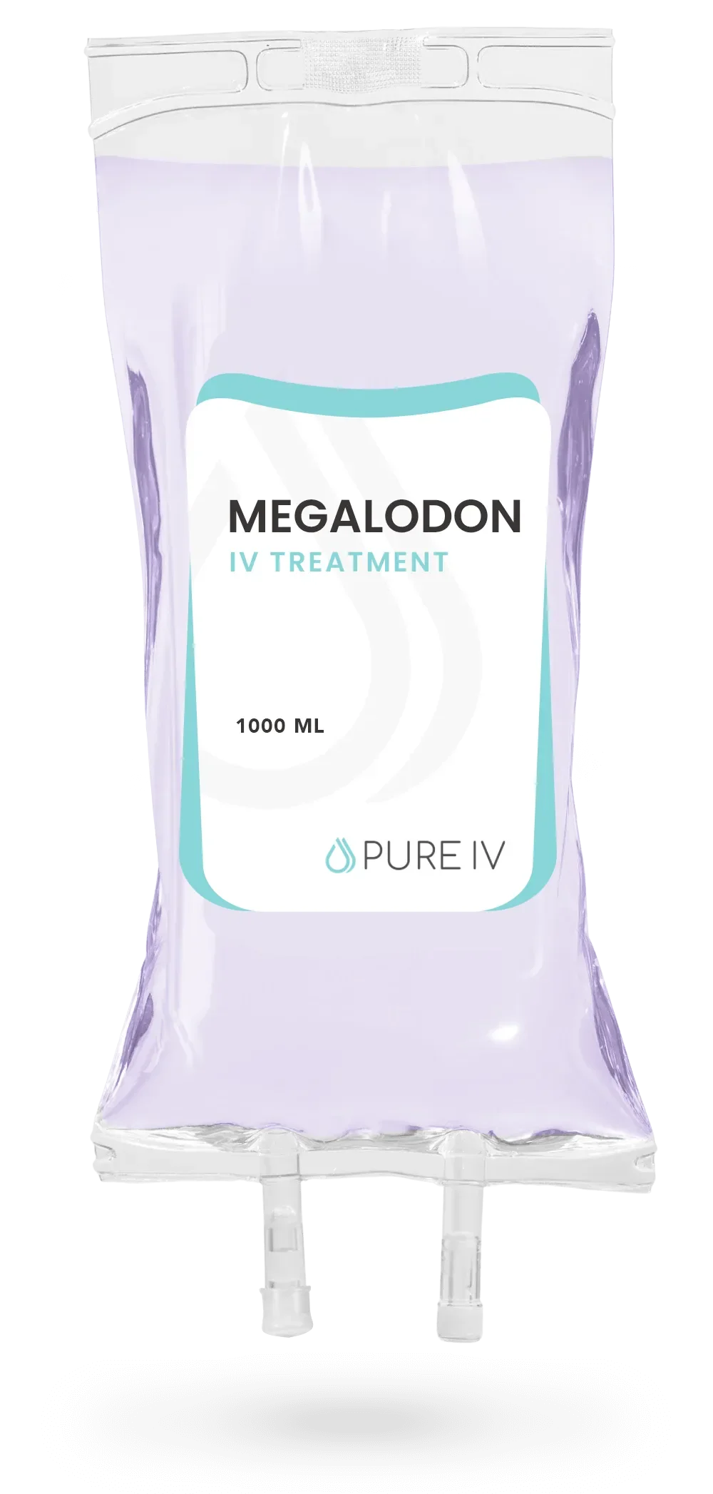 Megalodon