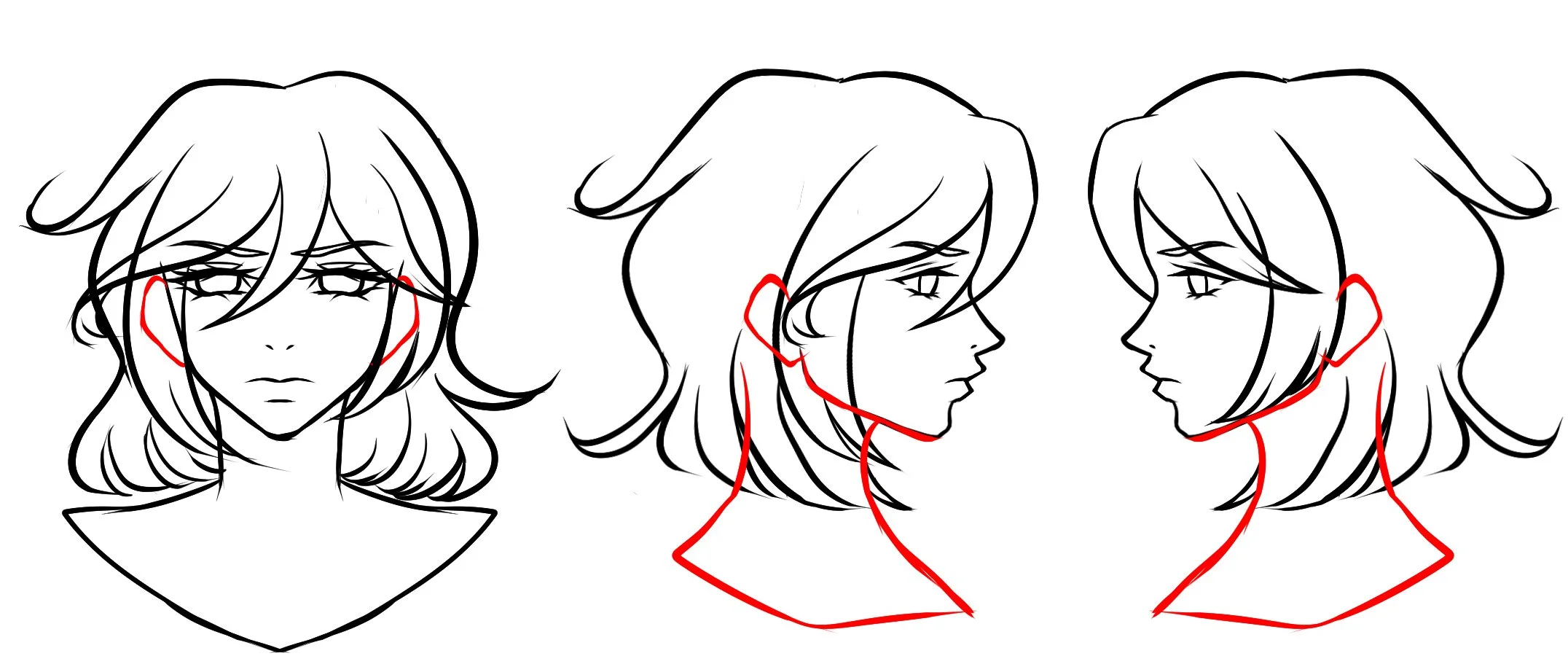 OC Bust.jpg