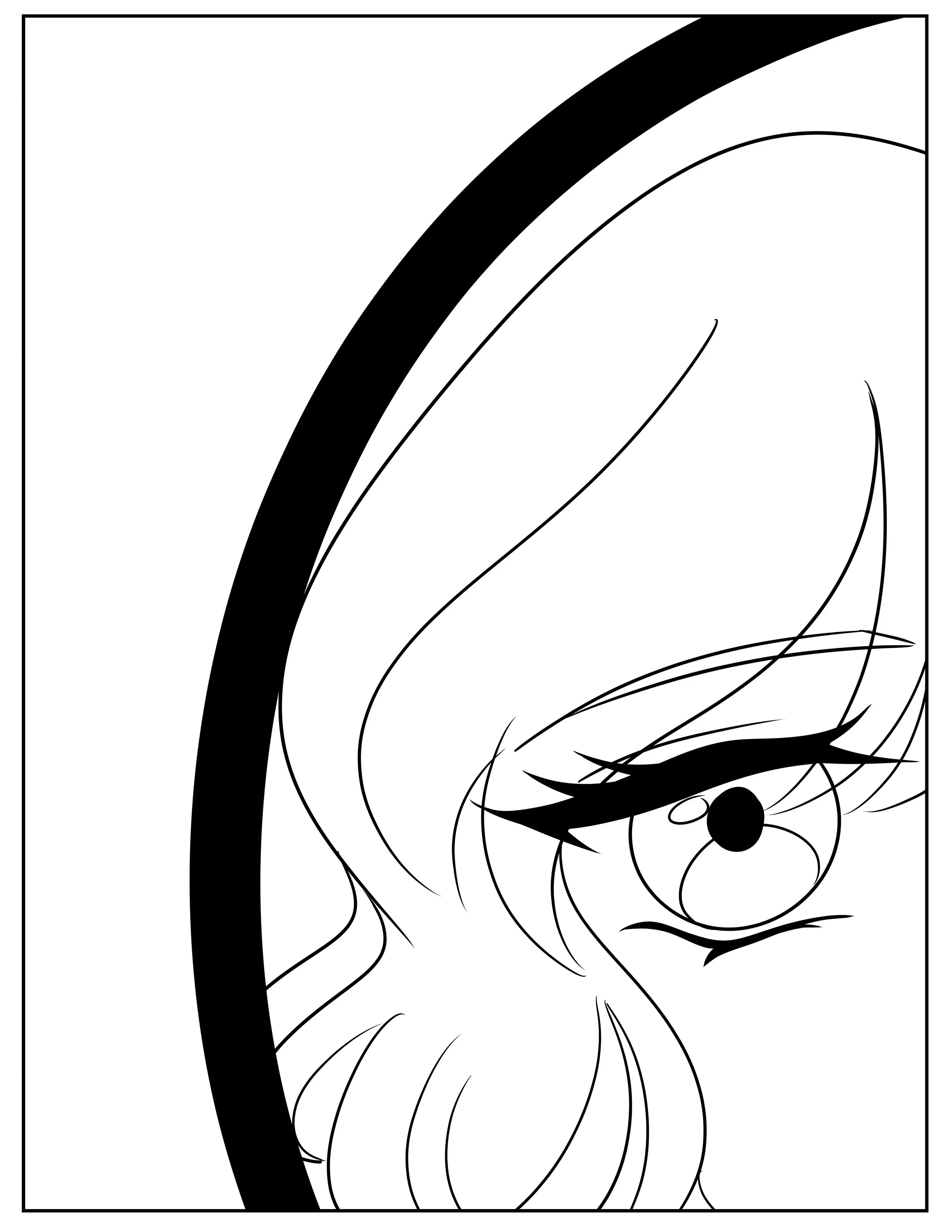 Backcover.jpg