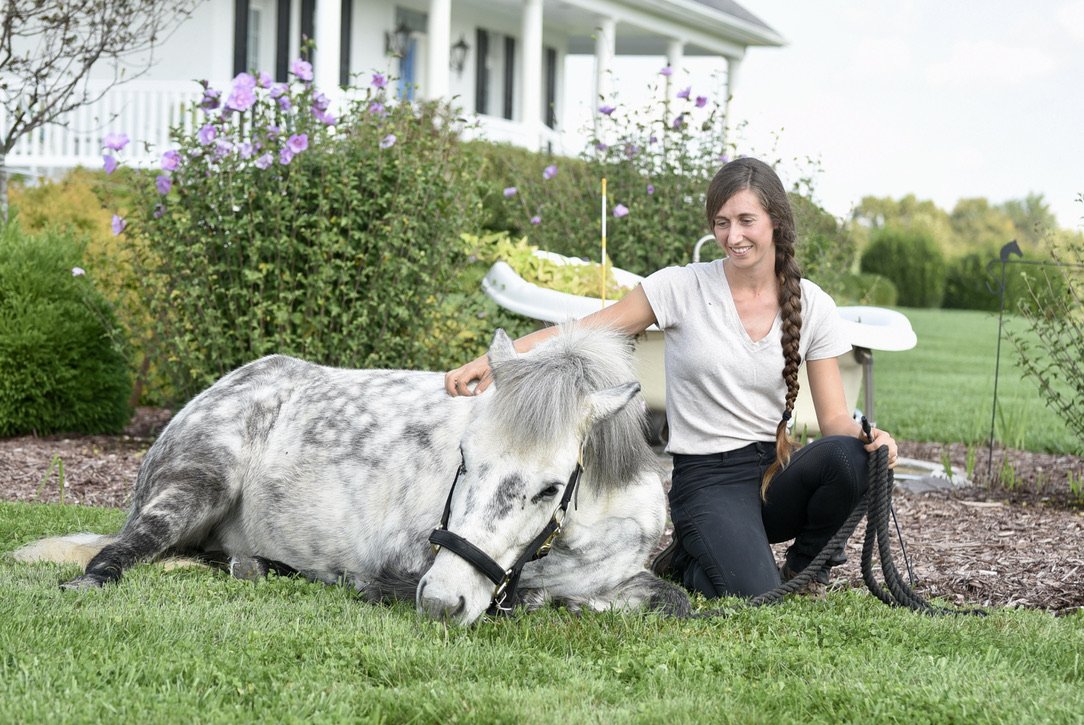 A woman in a white t-shirt and black pants kneeling on grass next to a dapple gray horse, patting its head. The horse is lying down on the grass with a halter. In the background, there is a white house, colorful flowers, and a green lawn.