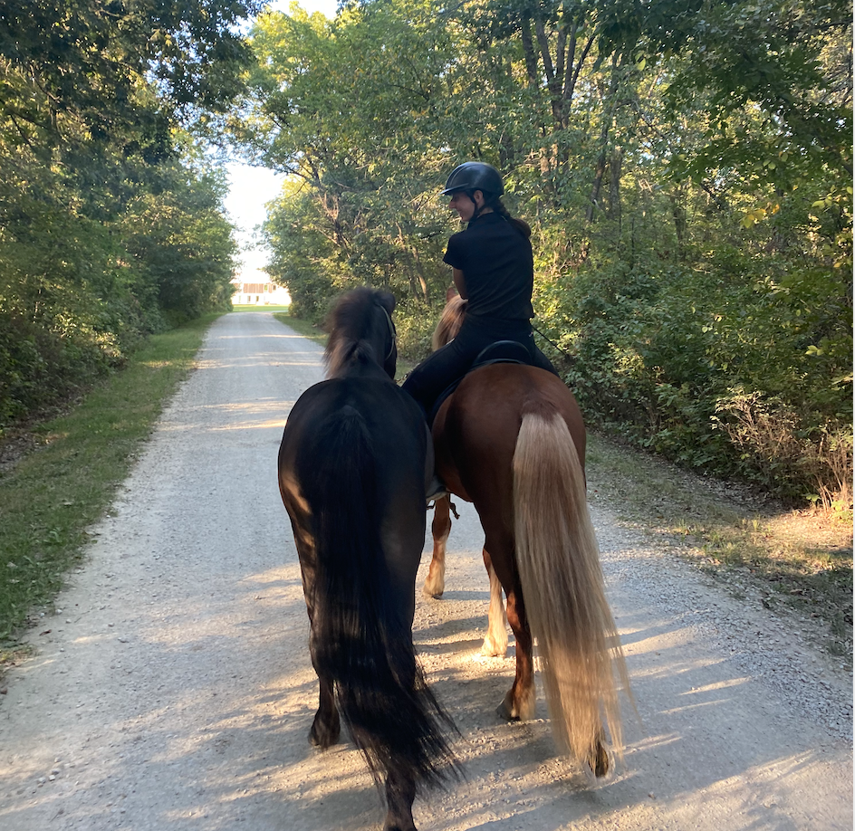 A person riding a brown horse with a blonde tail on a gravel trail surrounded by green trees.