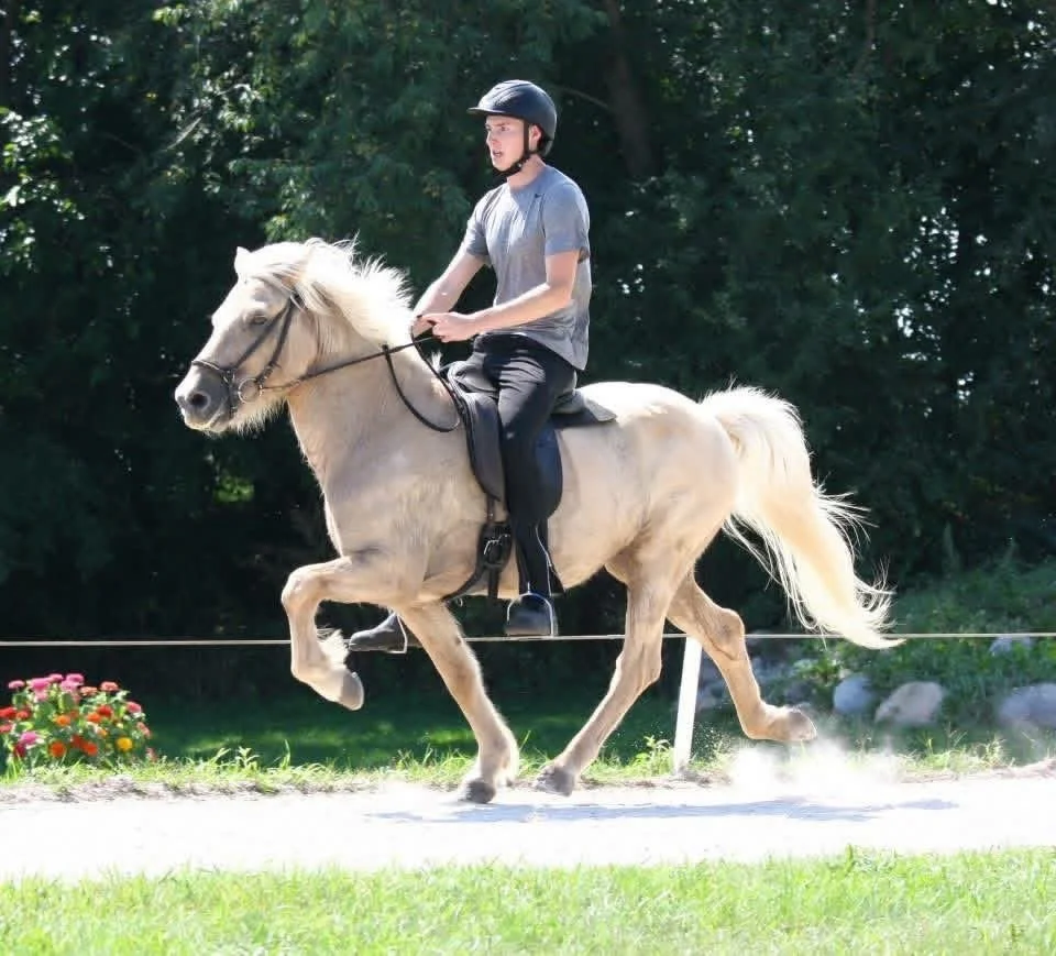 A young man riding a white horse with a black helmet in an outdoor riding area with green trees in the background.