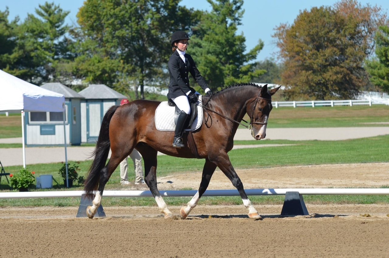 A woman in formal riding attire, including a black jacket, white breeches, and a helmet, riding a bay horse with white markings, on a dressage arena with sand footing and green grass background.