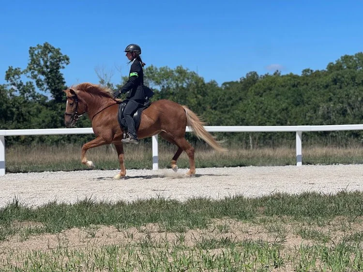 Person riding a horse on track during daytime.