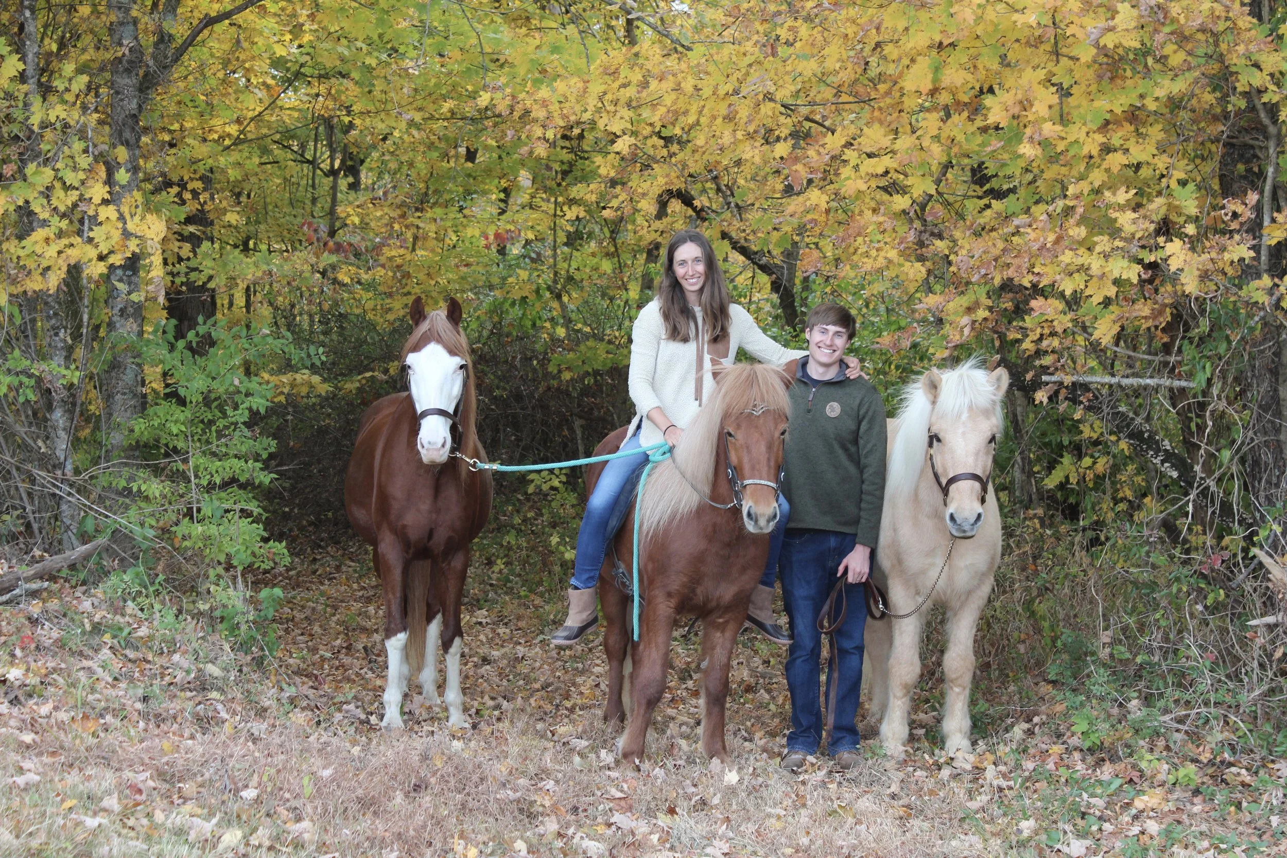 A young woman and a young man standing with three horses in a wooded area with fall foliage.