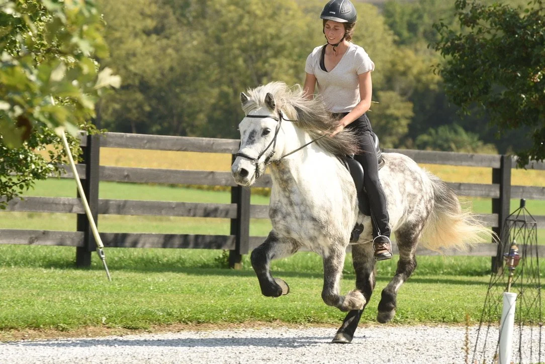 A woman riding a dapple gray horse on a green field, with a wooden fence and trees in the background.