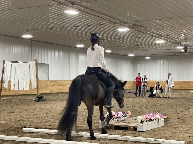 A person riding a black horse indoors, with other people and a wooden wall in the background.