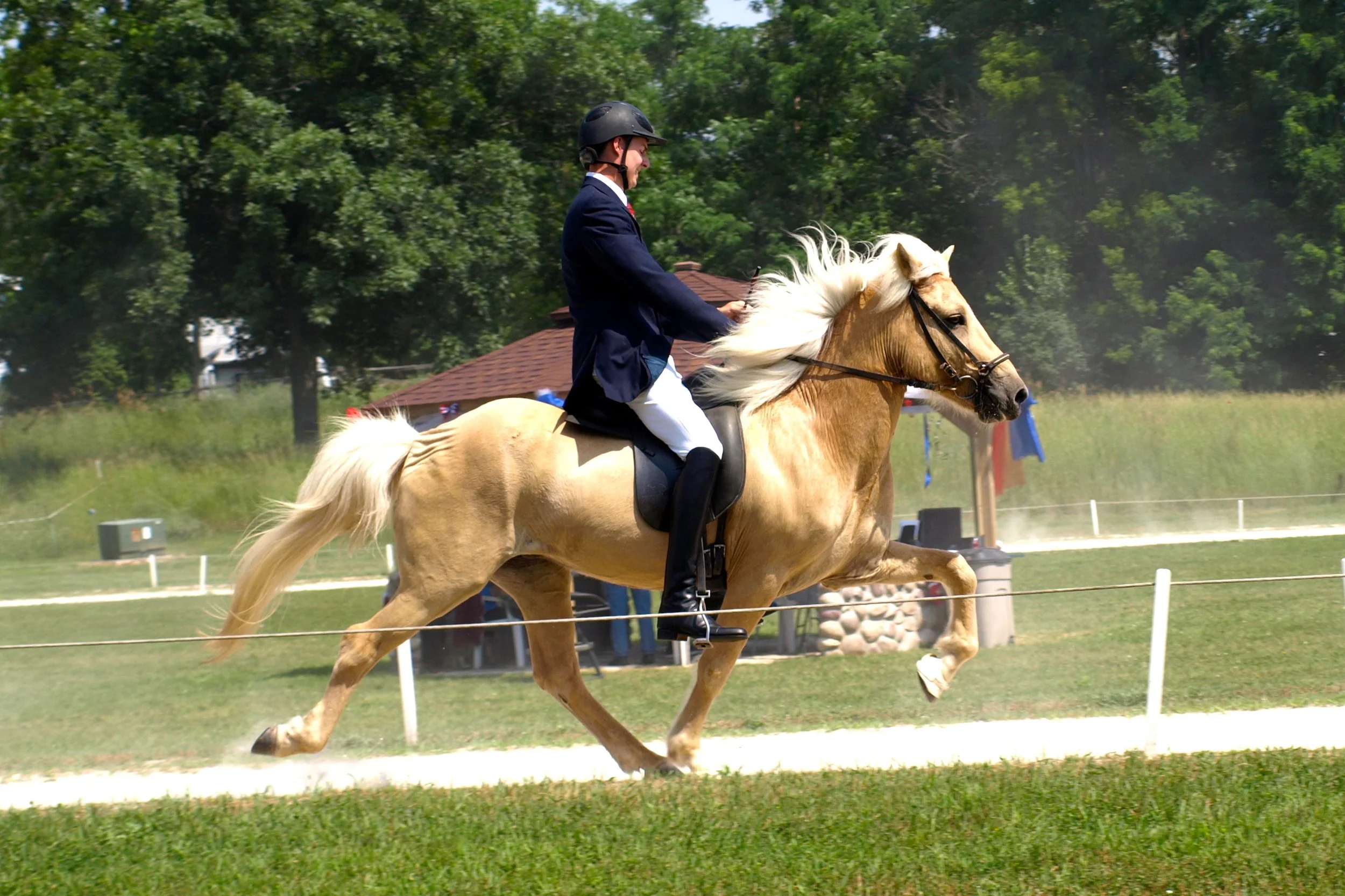 A man in formal riding attire, including a helmet, riding a palomino horse during a competition on a grassy field with trees in the background.