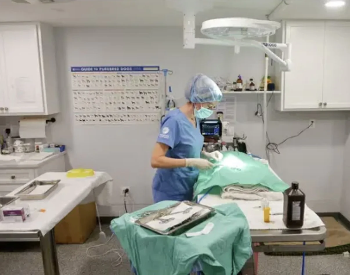 A healthcare professional performing a medical procedure in an operating room, wearing scrubs, a mask, a surgical cap, and gloves, with medical equipment and supplies around.