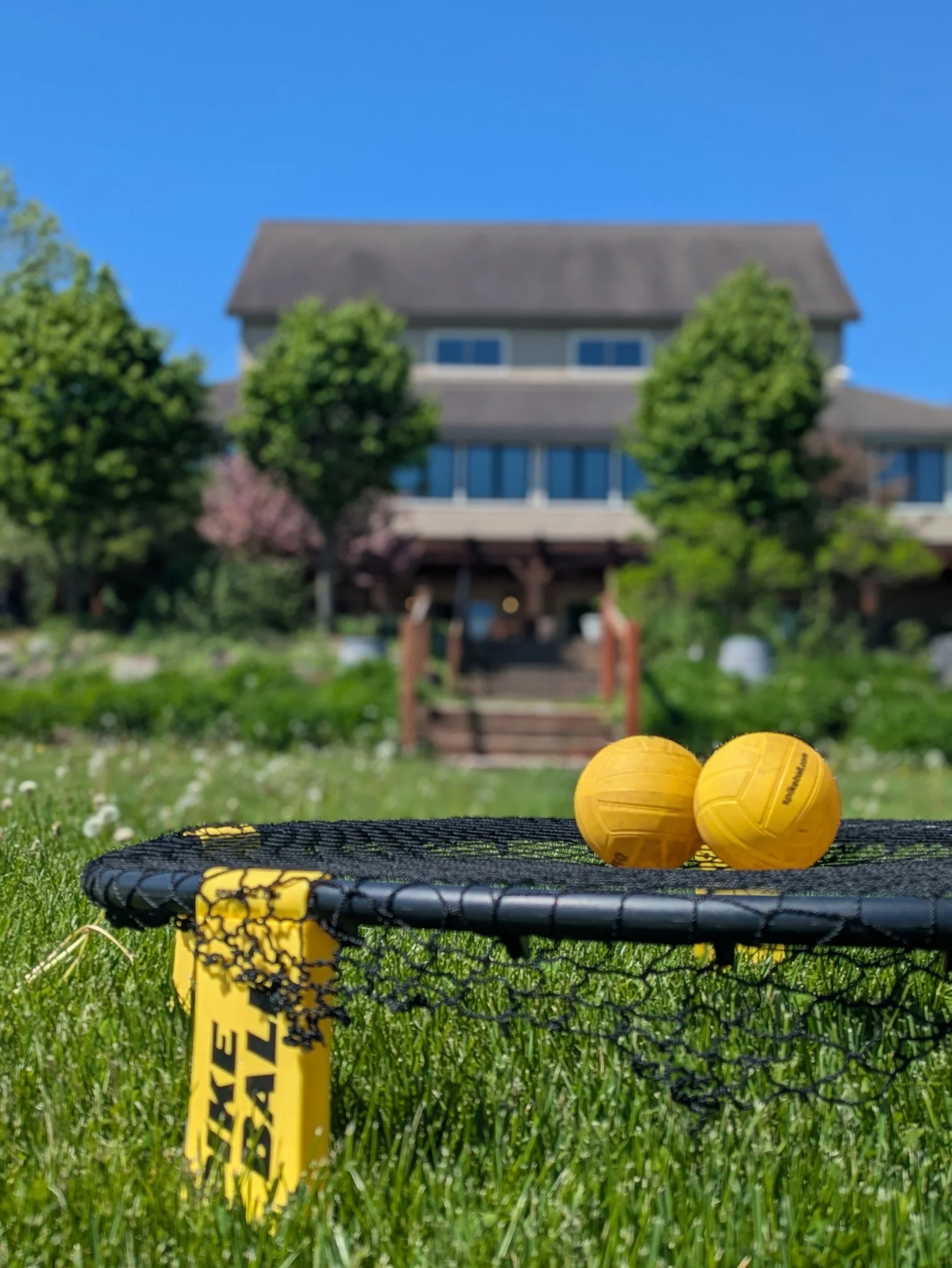 This just in, we've got Spikeball at the Estate! 

If you're looking for a way to spend your Tuesday (or any day), then we encourage you to grab some friends and spend your day with us, soaking up the sunshine. 

When it gets a little too warm, head 