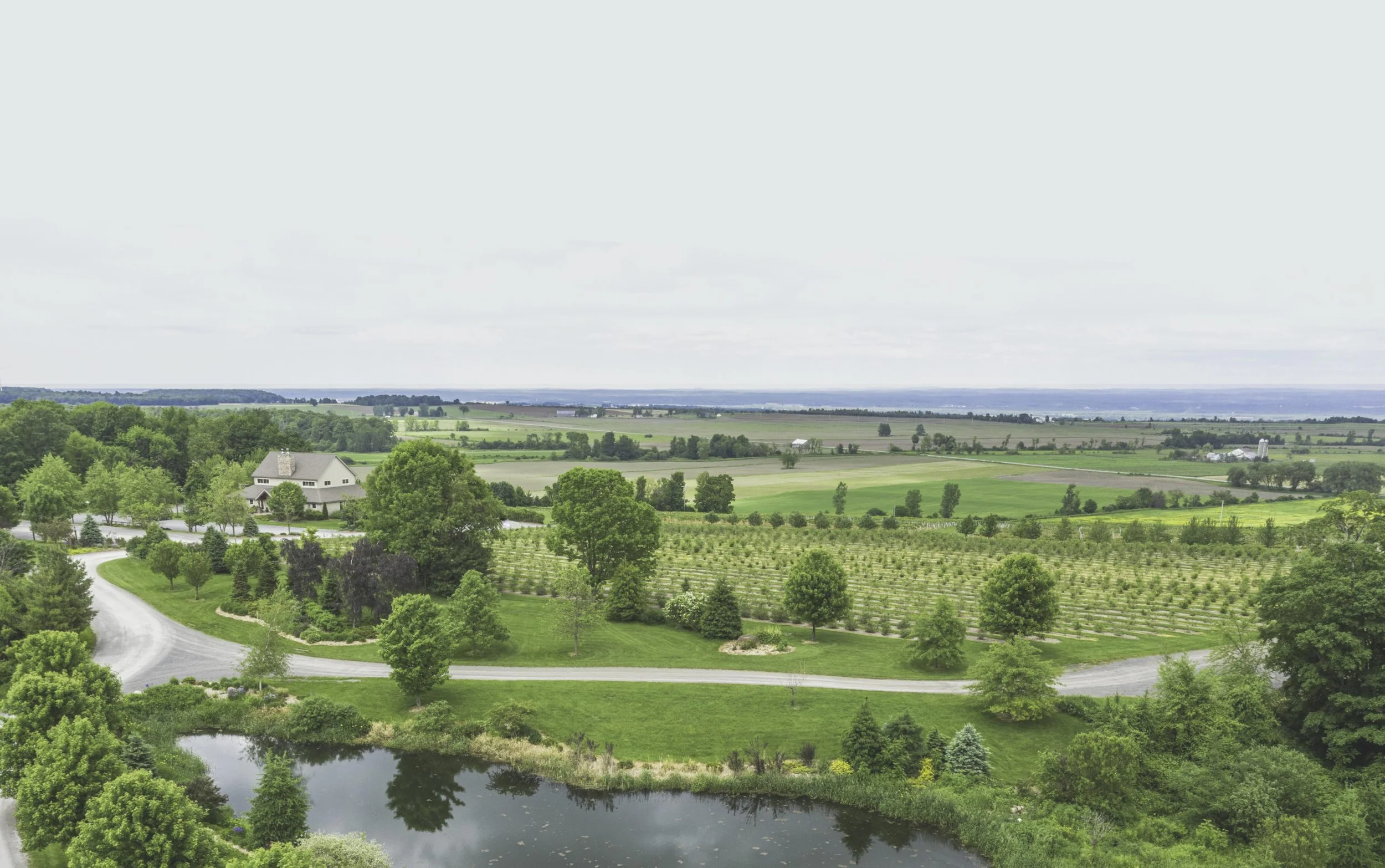 A scenic landscape featuring a winding road, lush green trees, a small pond, cultivated fields, and a house, with a distant horizon under a cloudy sky.