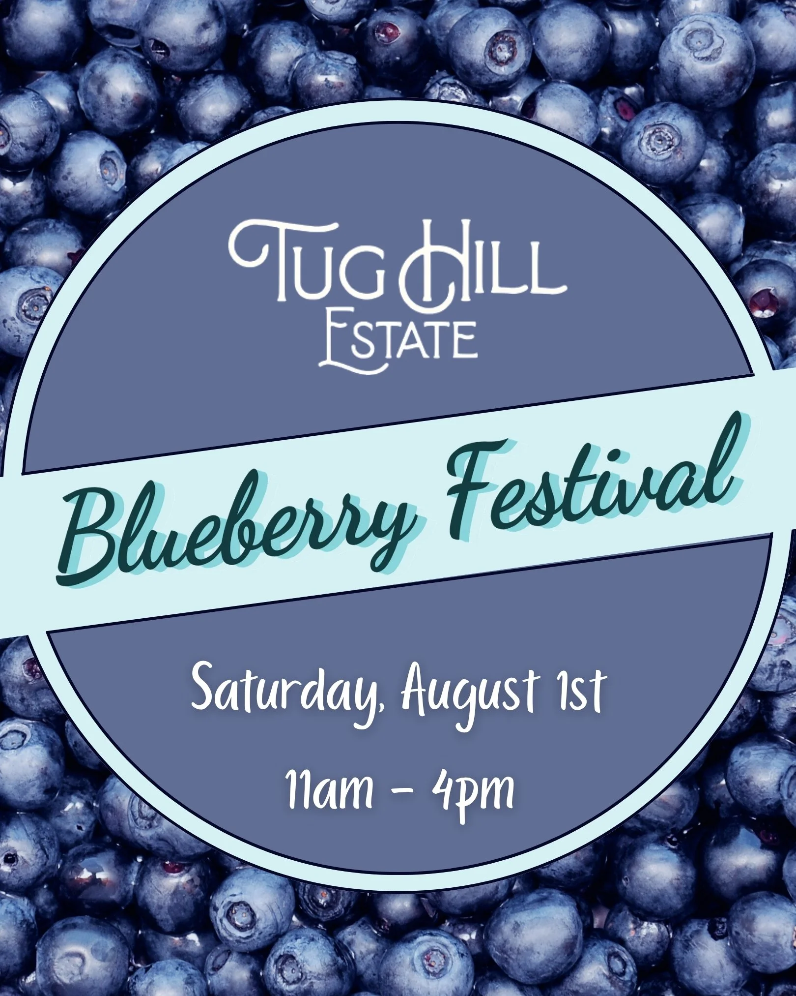 Blueberry festival poster with a background full of fresh blueberries and event details in a circular banner.