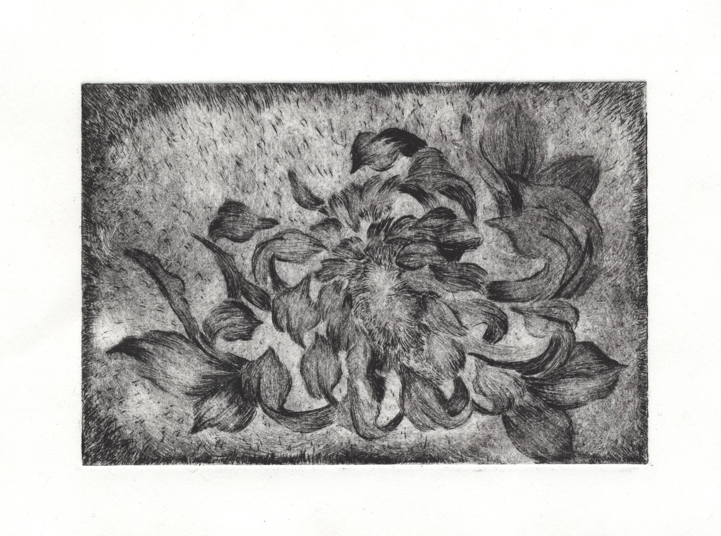 Untitled Drypoint etching on Rives BFK white,  6 × 8 in     2023