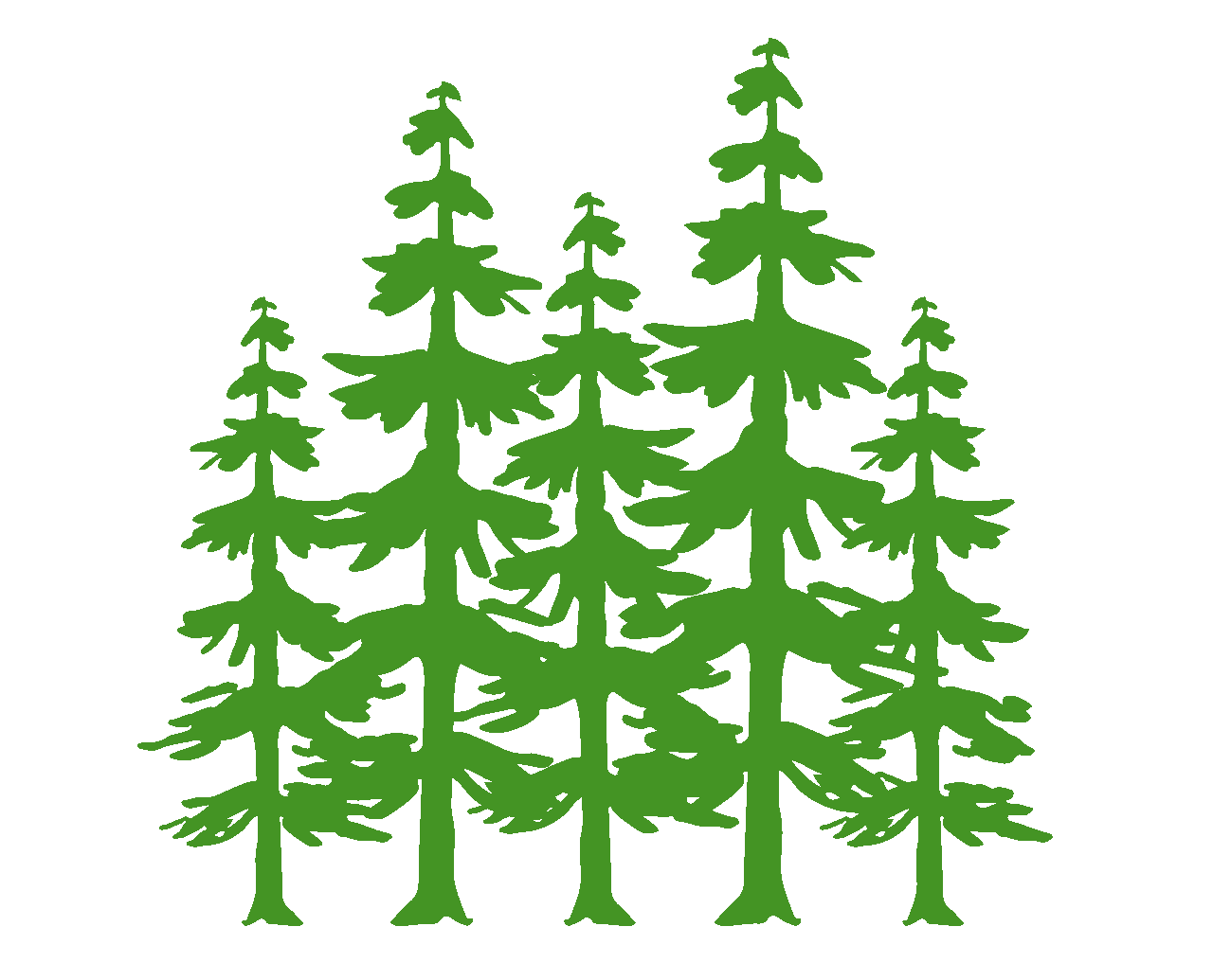 Adirondack Tree Service