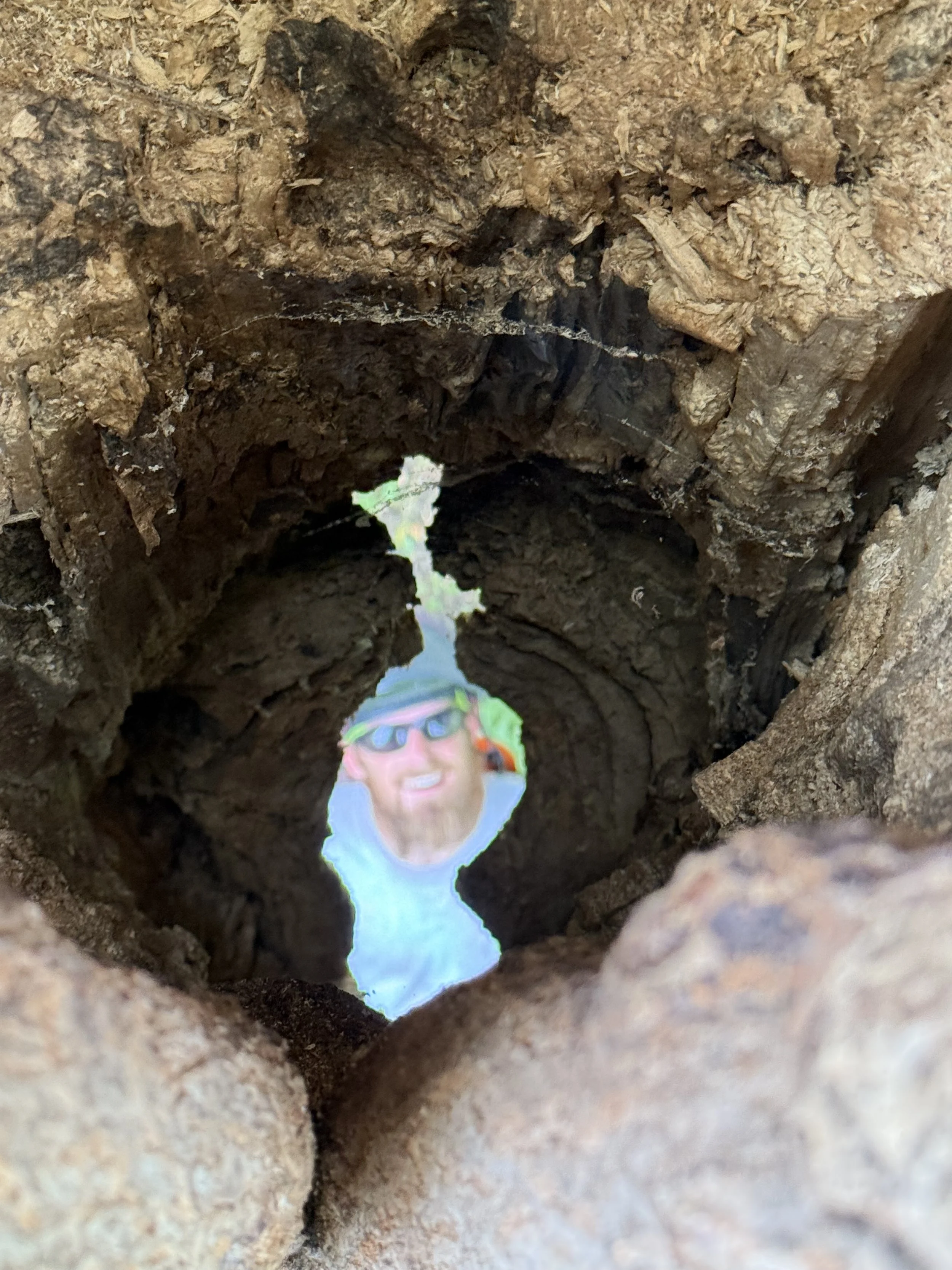 View through a hollowed log showing a person with sunglasses, a beard, and a hat, smiling outdoors.