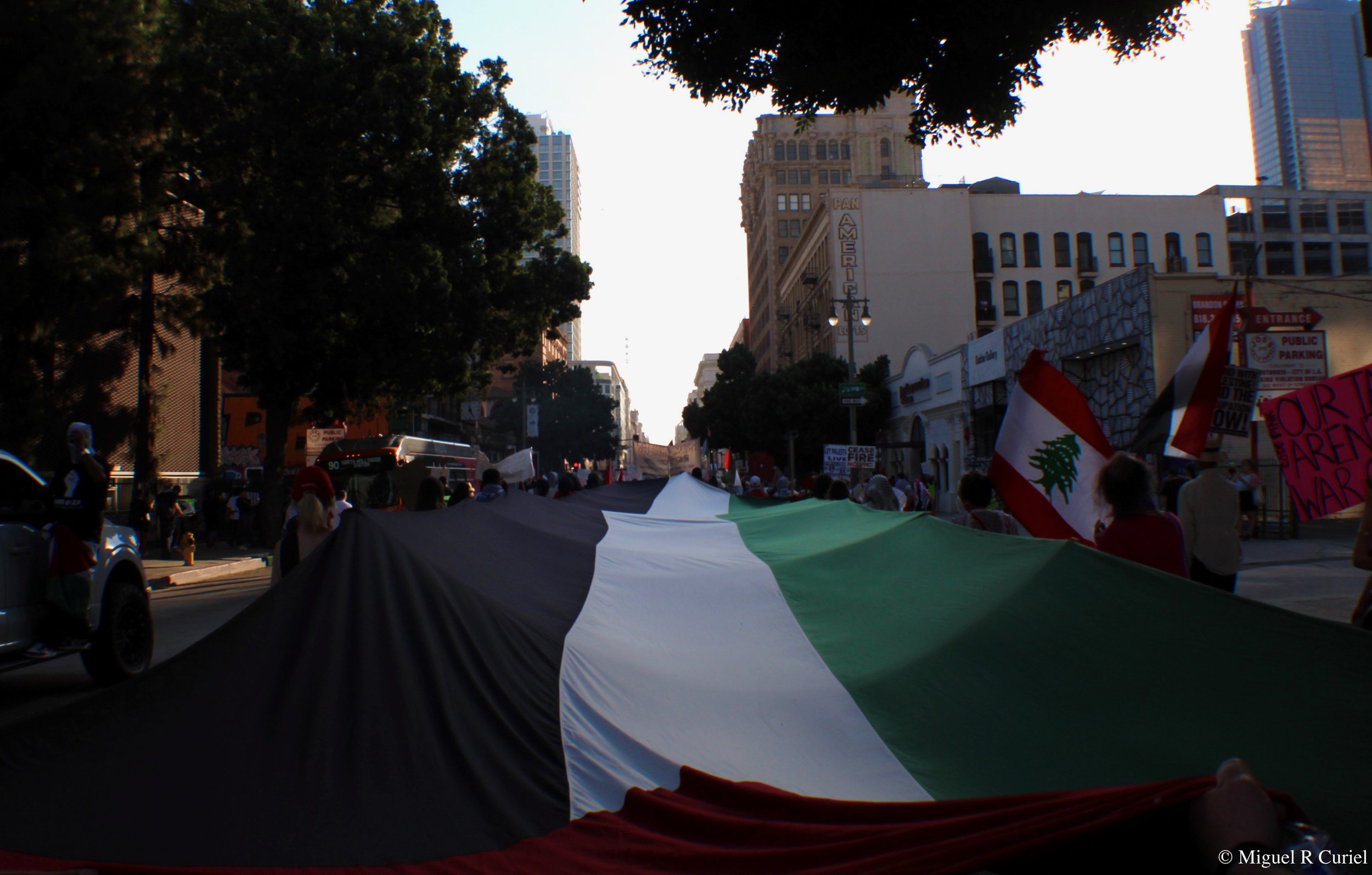 People participating in a protest march on a LA city street, holding a large Palestinian flag. Buildings and signs can be seen in the background.
