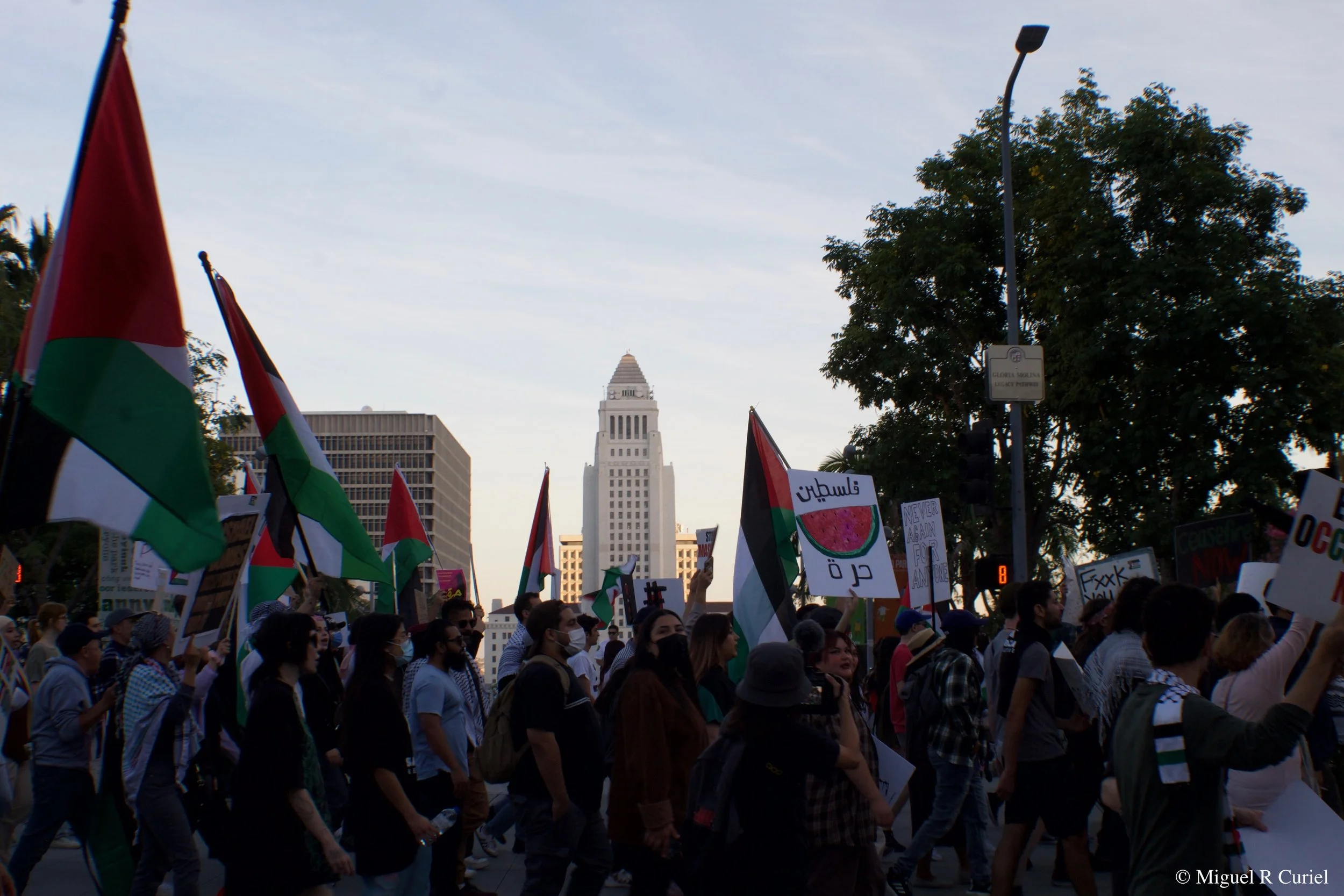 Free Palestine