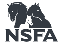 NSFA.png