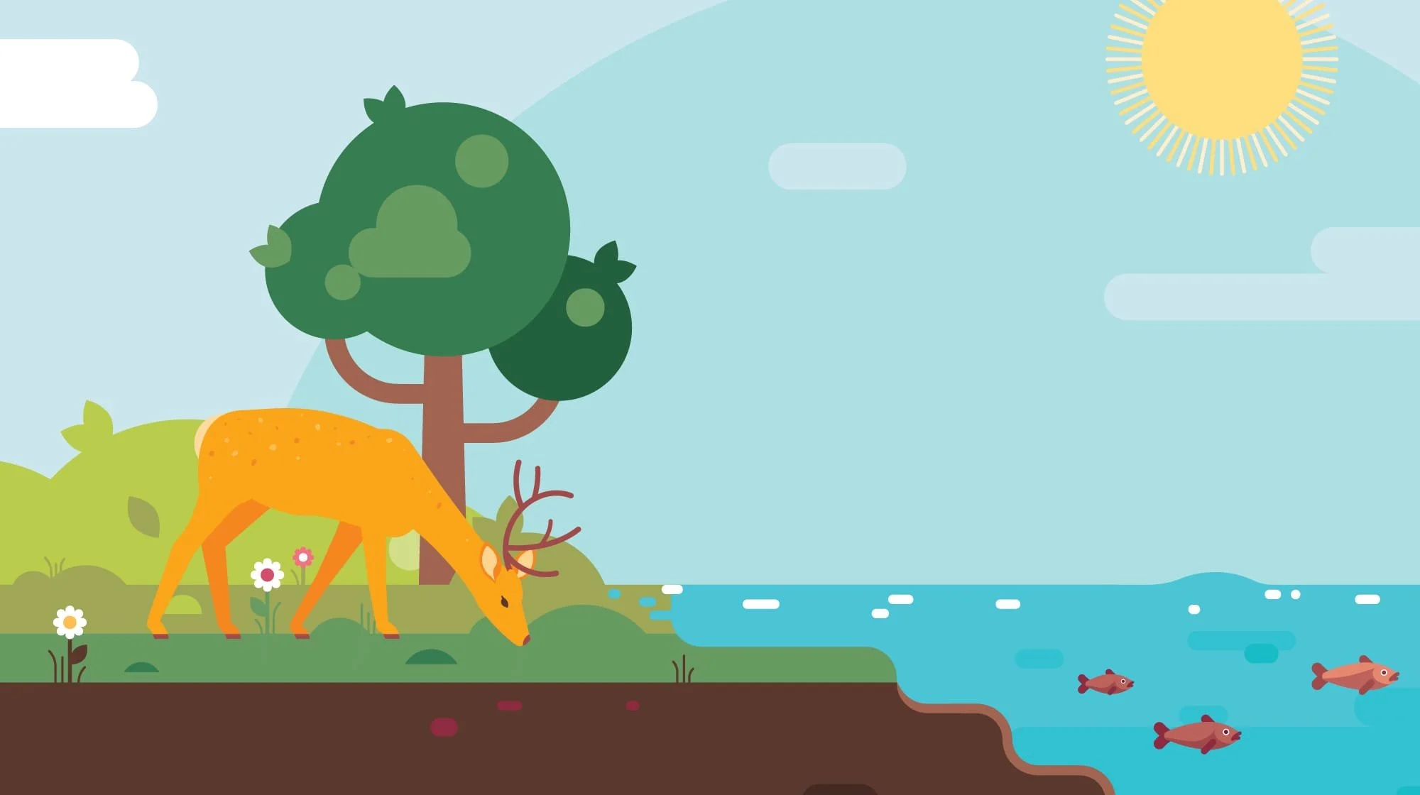 Airshed-CASESTUDY-ASSETS_Artboard 1 copy 7.jpg