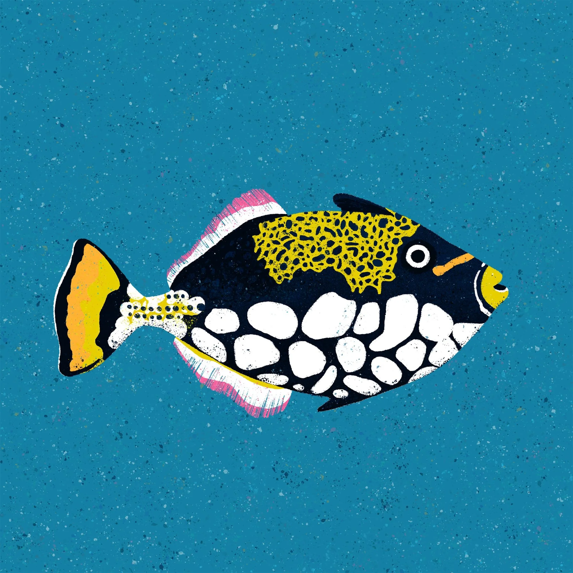 CurioHangs-Fish.jpg