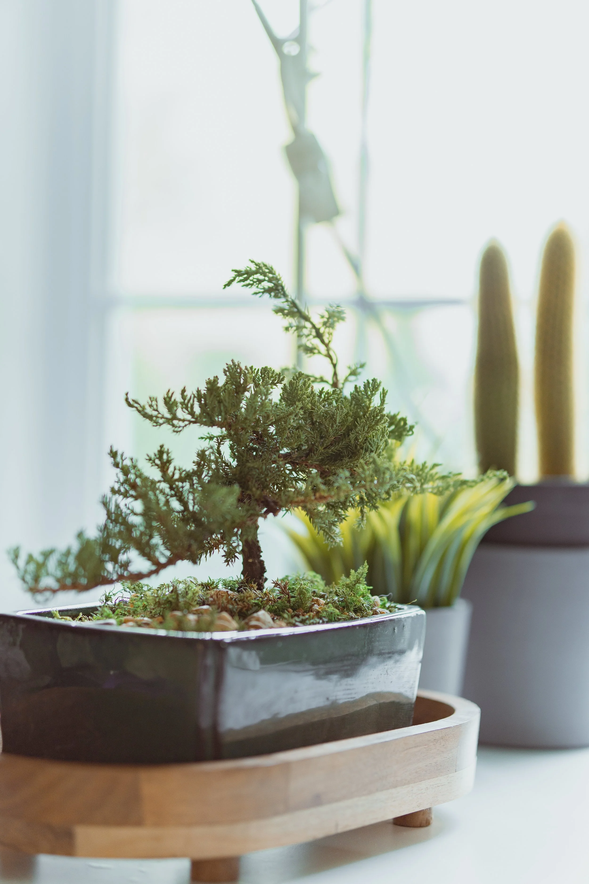 Full Service Package