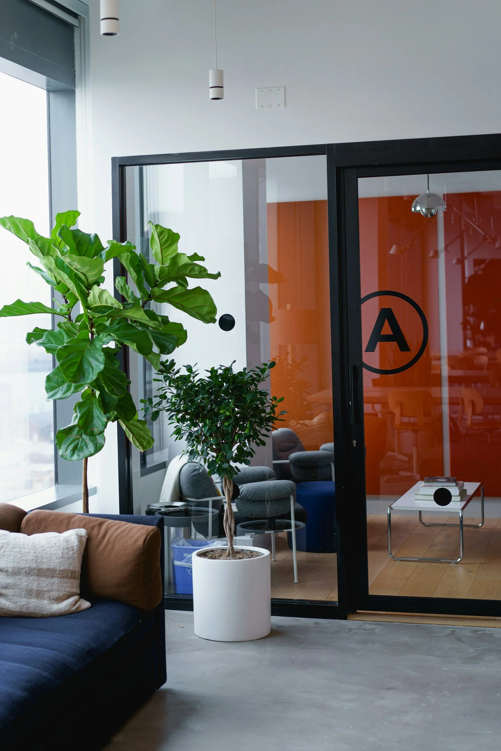 Modern office or lounge area with large plants, glass partitions, and comfortable seating
