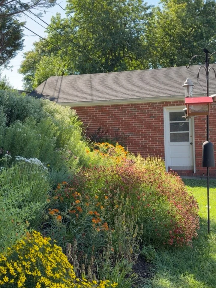 Recently completed maintenance on this hillside garden. Installed last June, only 1 year ago! You may have heard the saying about garden growth: 
First year, they sleep
Second year, they creep
Third year, they leap 
Well this poem doesn't typically a