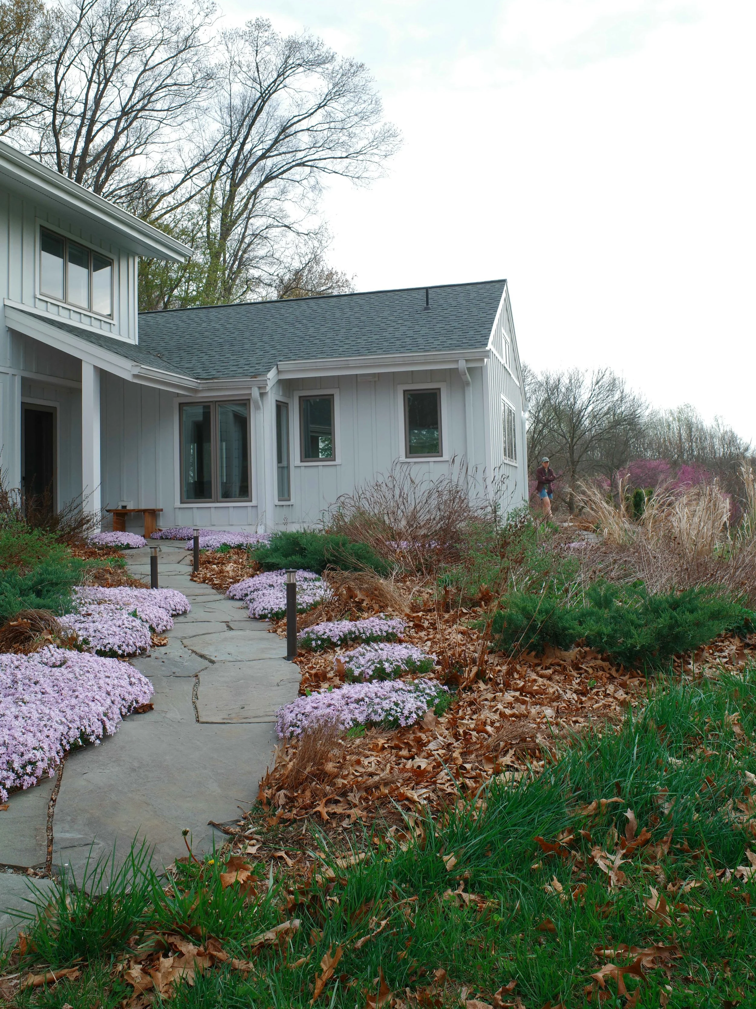 throwing it back 🍑 this morning to when the phlox was blooming and the temps were cool(er)! we found so so many spiders and other pollinator friends under these leaves. One of the main beauties of a native garden is the habitat it provides which is 